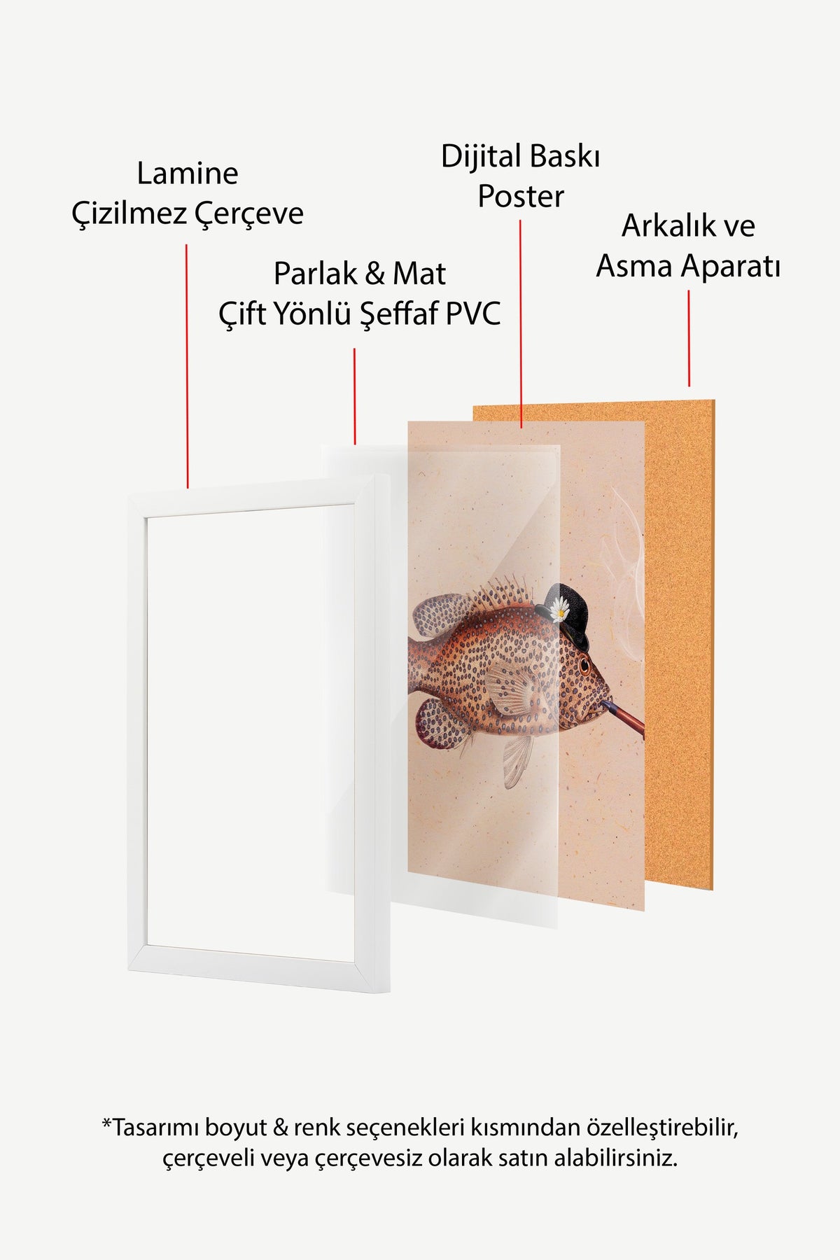 Şapkalı Balık ve Papatya Poster – Beyaz Çerçeveli Tablo