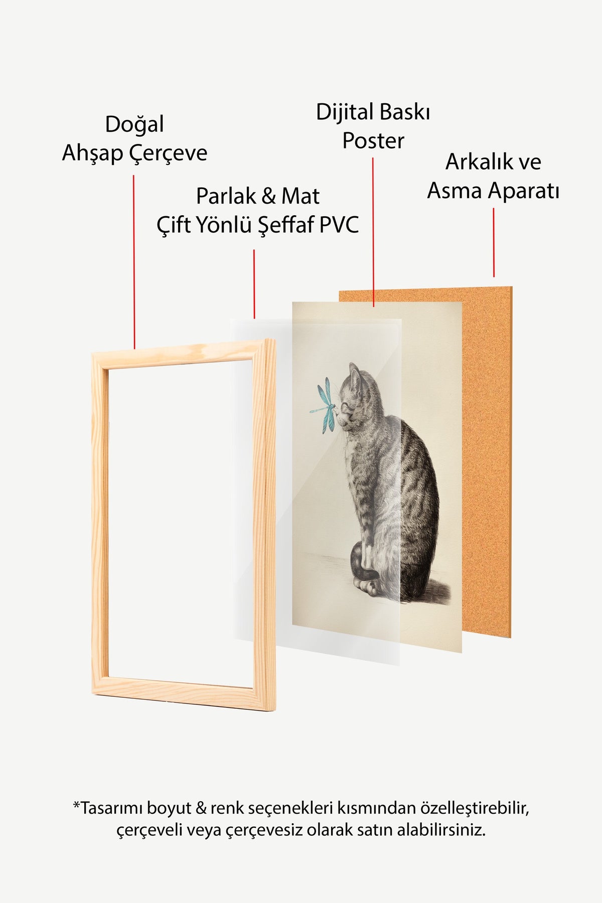 Yusufçuklu Yavru Kedi Çizimi Poster – Ahşap Çerçeveli Tablo