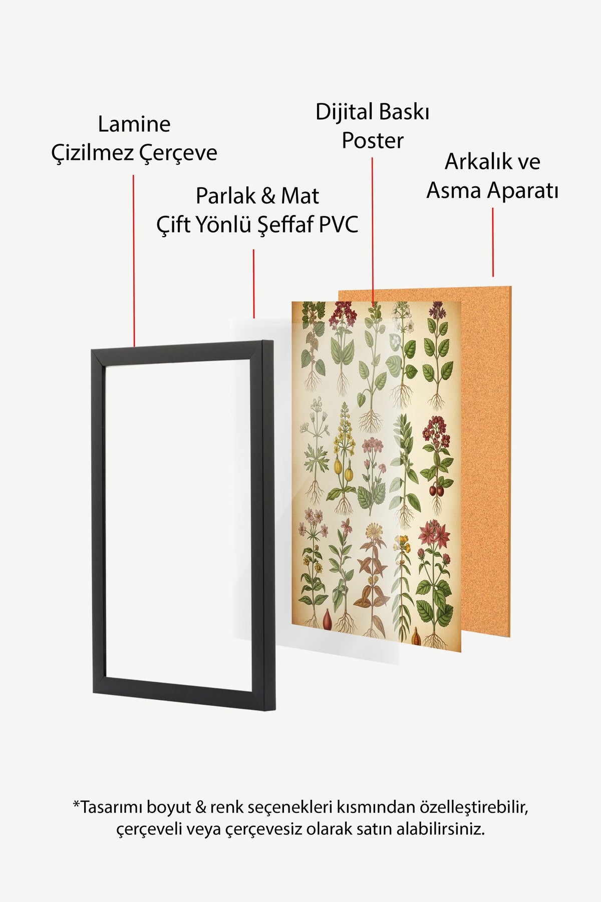 Botanik Bitki Koleksiyonu Çizimi Poster – Siyah Çerçeveli Tablo