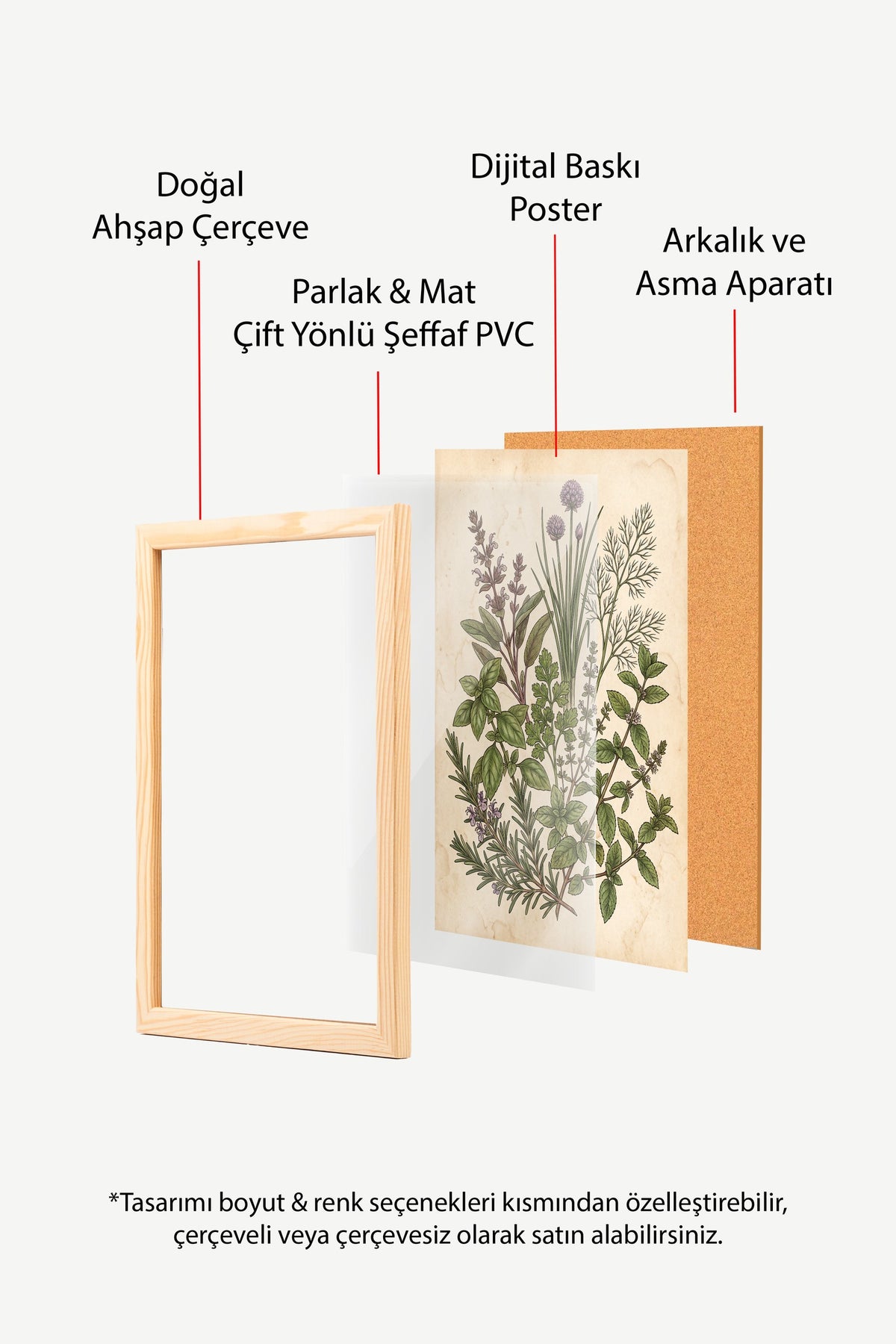 Şifalı Otlar Botanik Çizimi Poster – Ahşap Çerçeveli Tablo