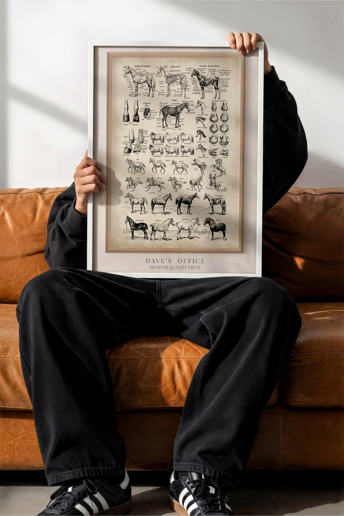 At Anatomisi Bilimsel Çizim Serisi Poster – Beyaz Çerçeveli Tablo