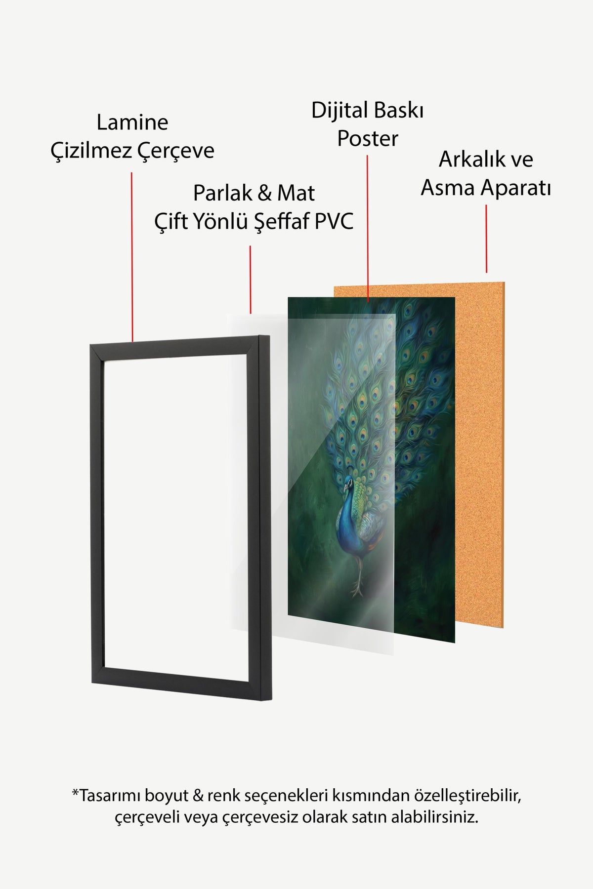 Tüylerini Açmış Tavus Kuşu Poster – Siyah Çerçeveli Tablo