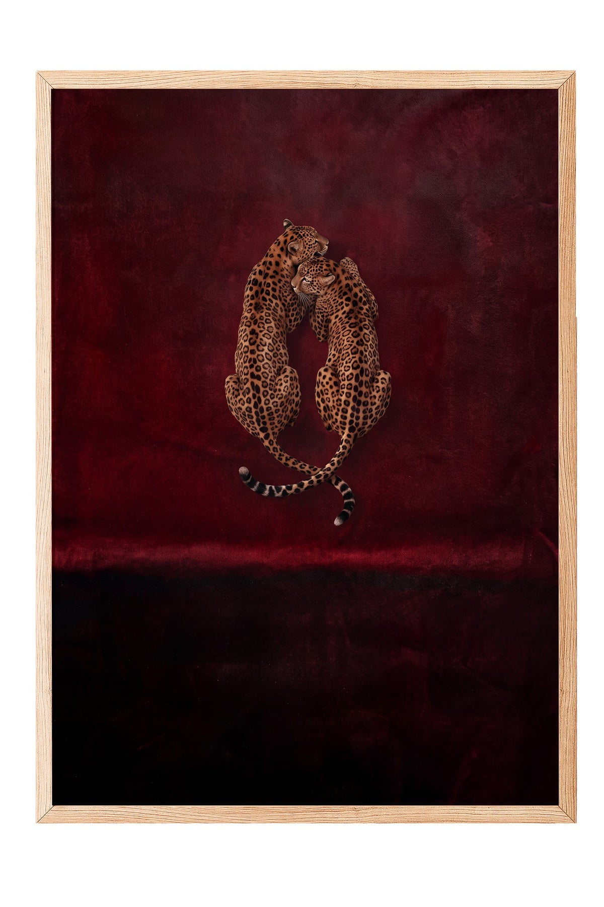 Kırmızı Kadifede Sarılan Leoparlar Poster – Ahşap Çerçeveli Tablo