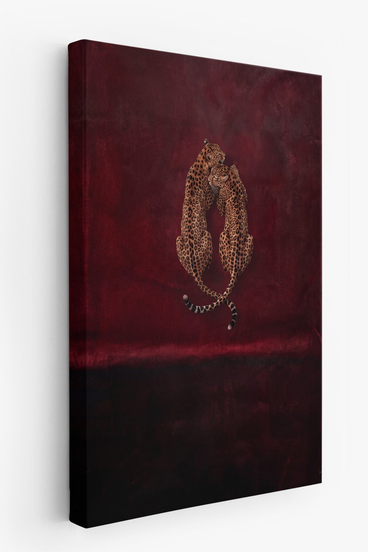 Leoparlar Kucaklaşıyor Kanvas Tablo