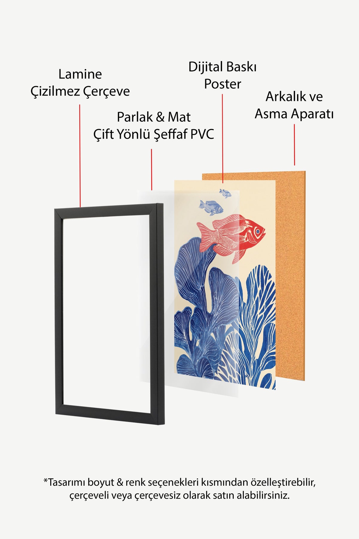 Kırmızı Balık ve Mercan Baskısı Poster – Siyah Çerçeveli Tablo