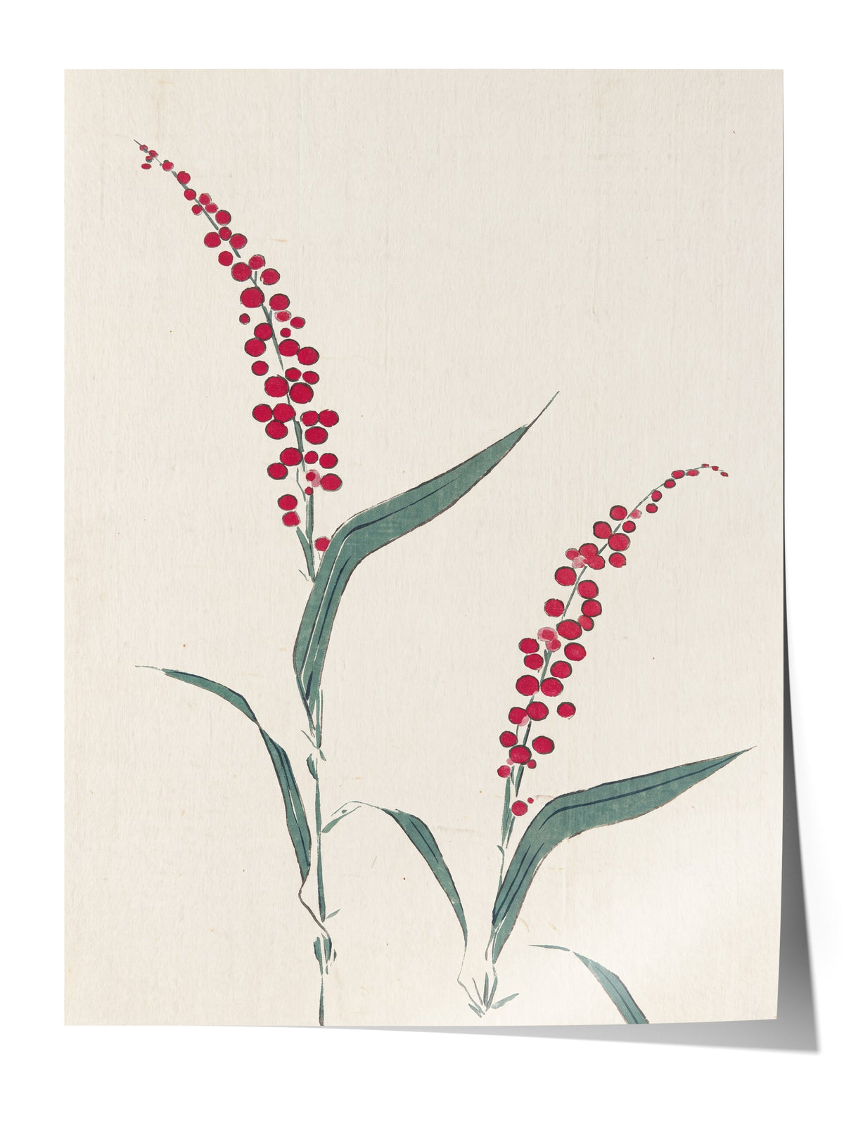 Kırmızı Çiçekli Dal Minimal Sanatı Çerçevesiz Poster