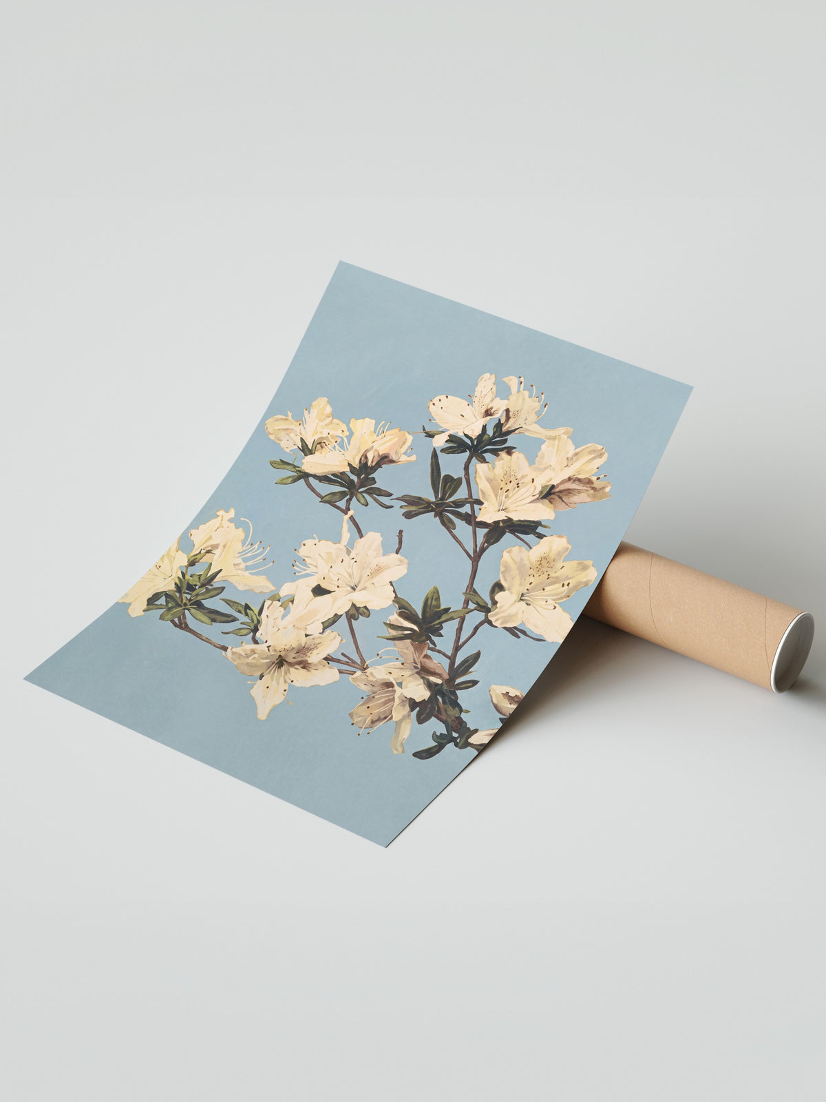 Krem Azalea Dalları Çerçevesiz Poster