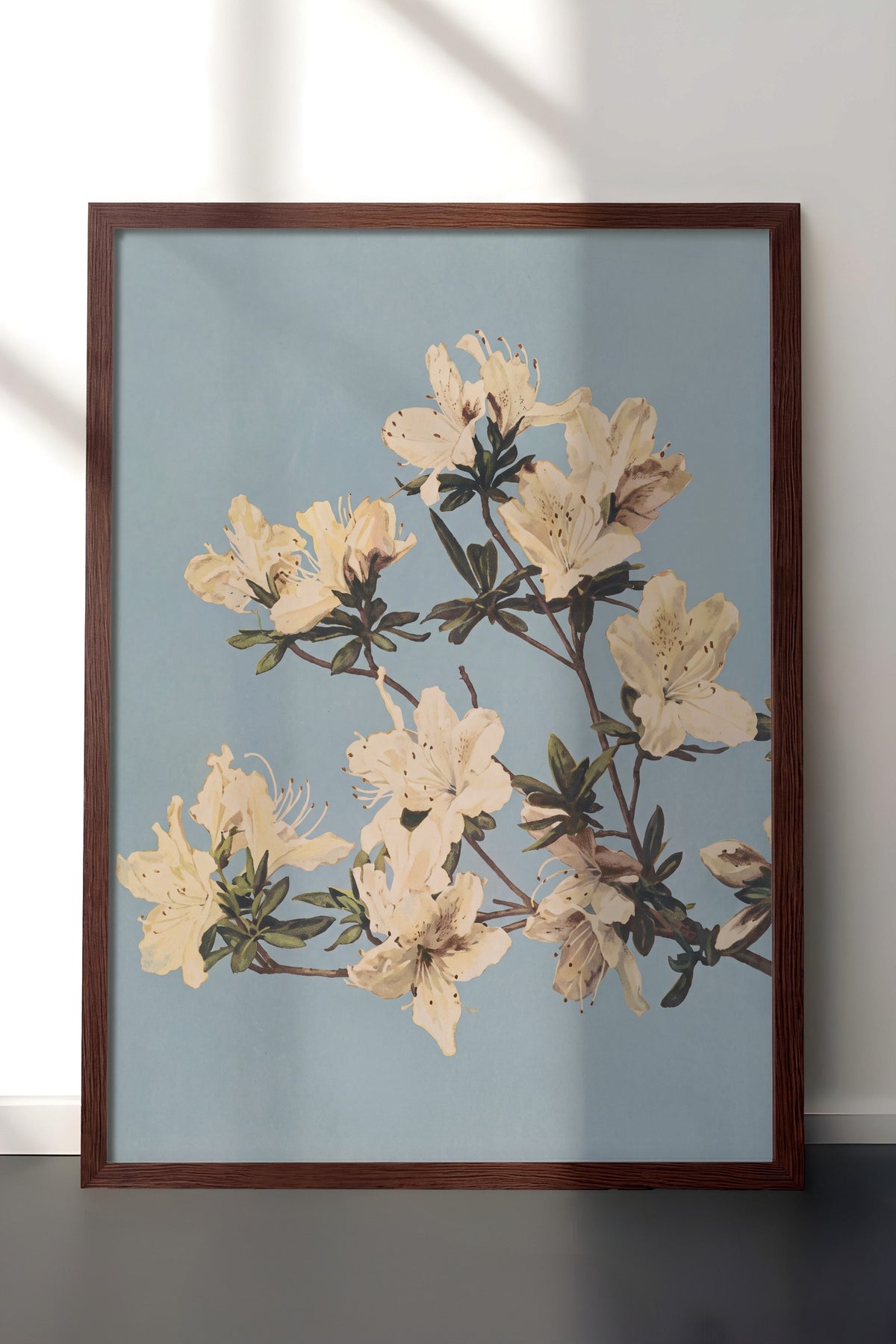 Krem Azalea Dalları Poster – Kahverengi Çerçeveli Tablo