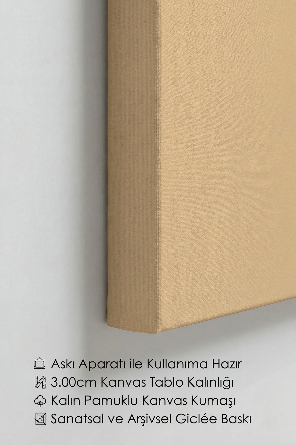Geometrik Soyutlama Kanvas Tablo