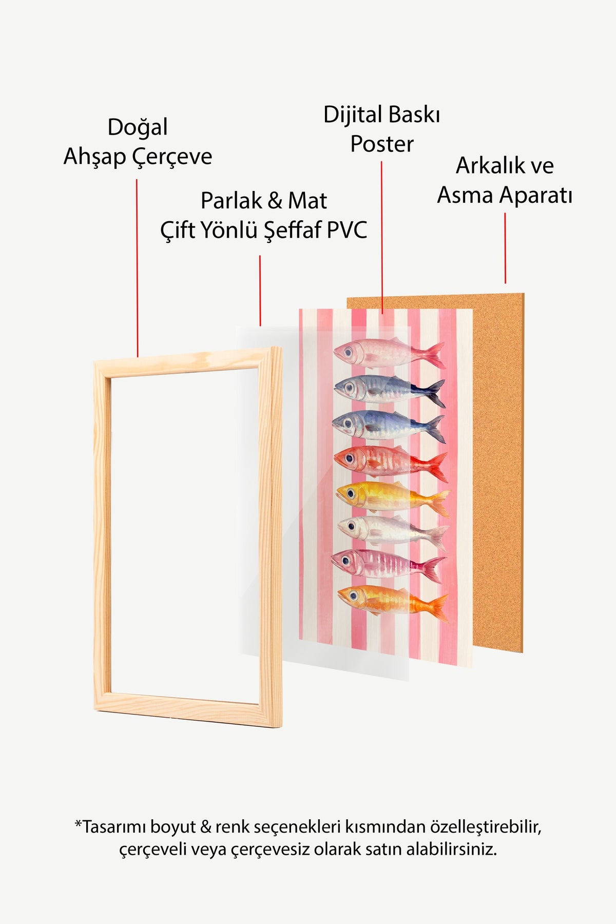 Renkli Balık Sıralaması Poster – Ahşap Çerçeveli Tablo