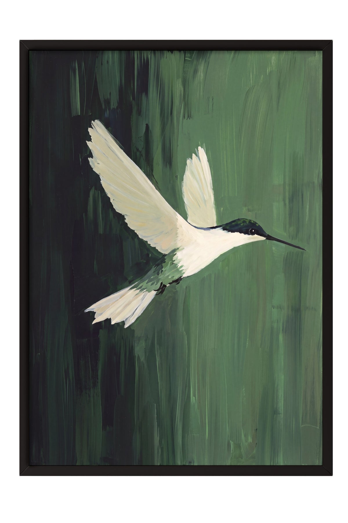 Uçan Kolibri Poster – Siyah Çerçeveli Tablo