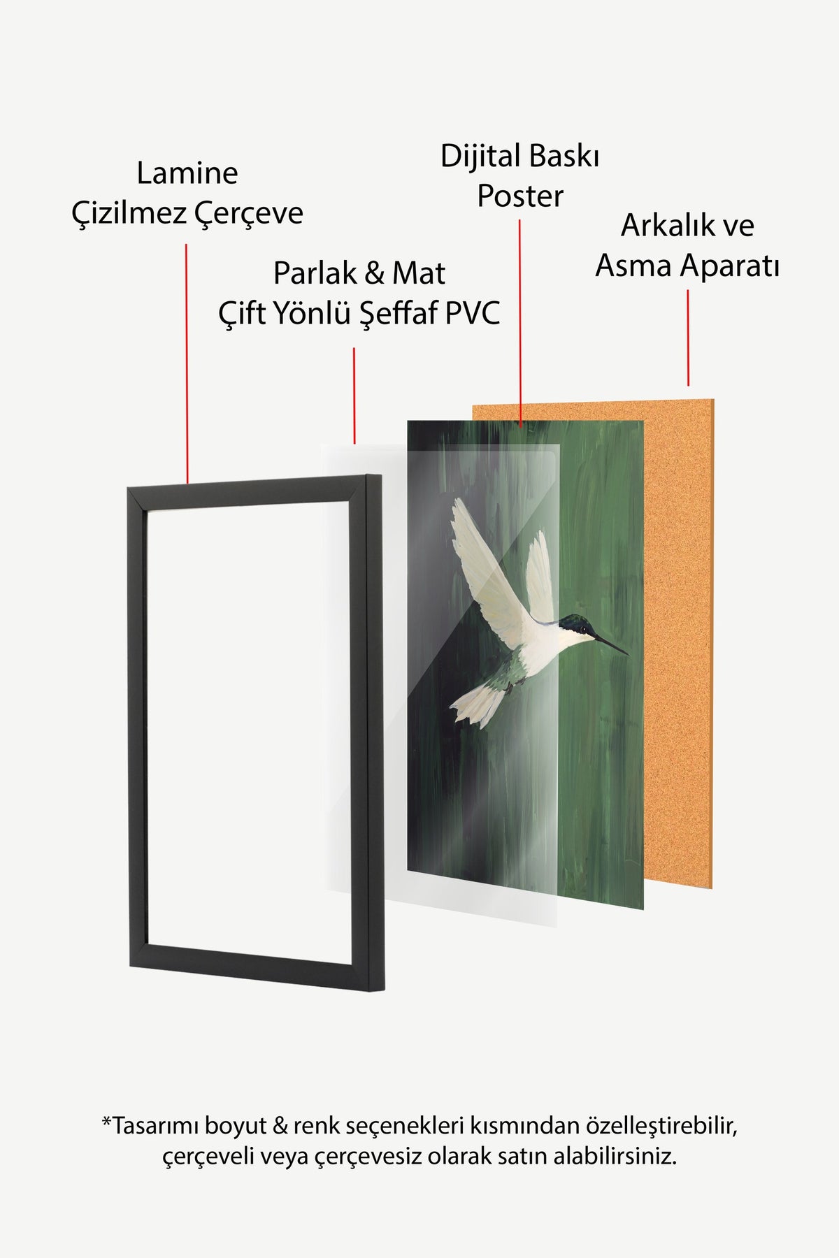 Uçan Kolibri Poster – Siyah Çerçeveli Tablo