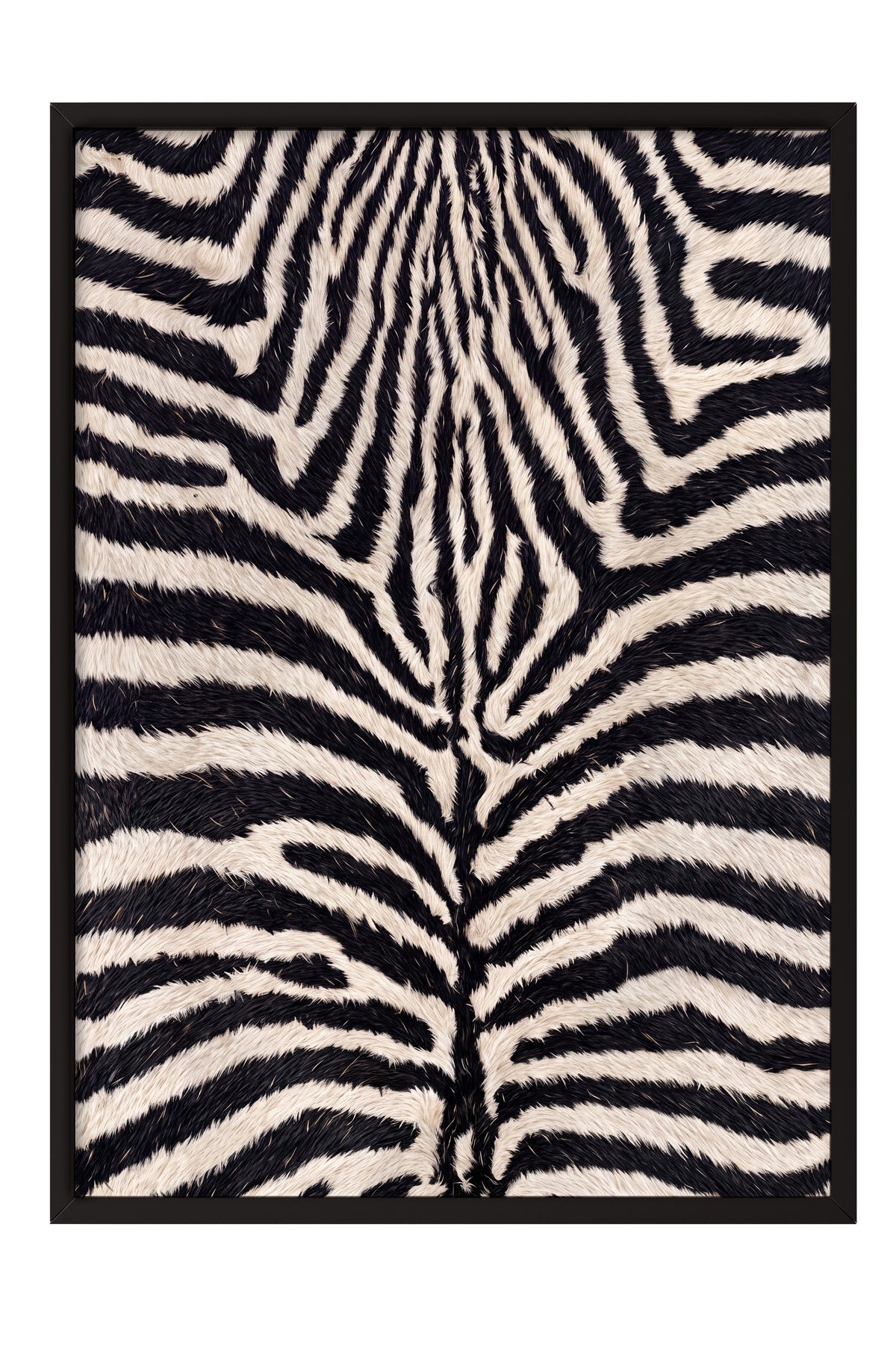 Zebra Deseni Doku Poster – Siyah Çerçeveli Tablo