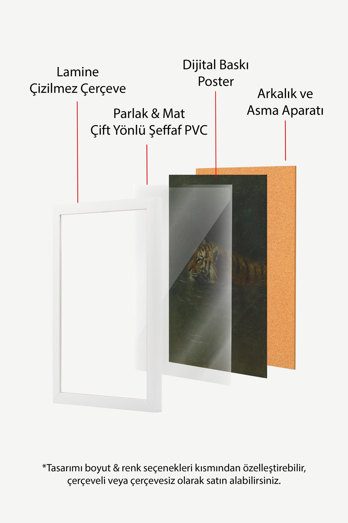 Suda Yüzen Kaplan Poster – Beyaz Çerçeveli Tablo