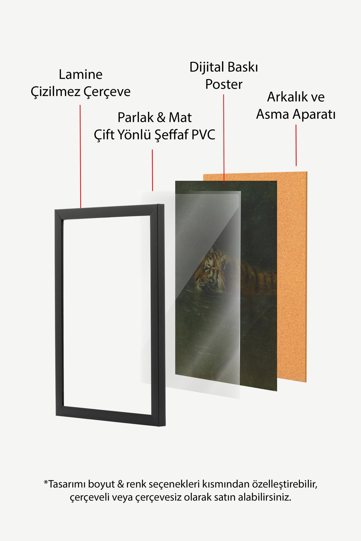 Suda Yüzen Kaplan Poster – Siyah Çerçeveli Tablo
