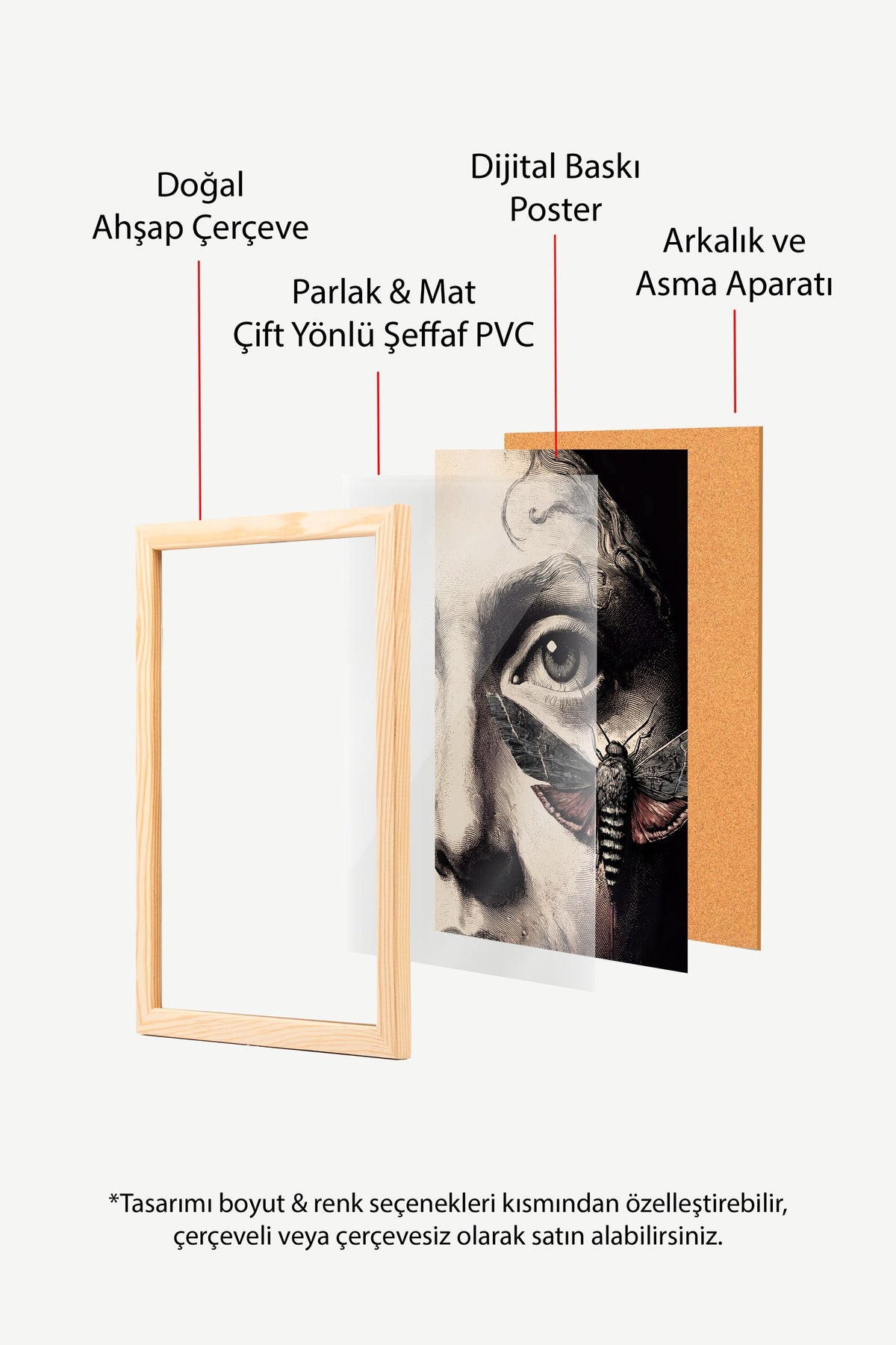 Göz ve Güve Poster – Ahşap Çerçeveli Tablo