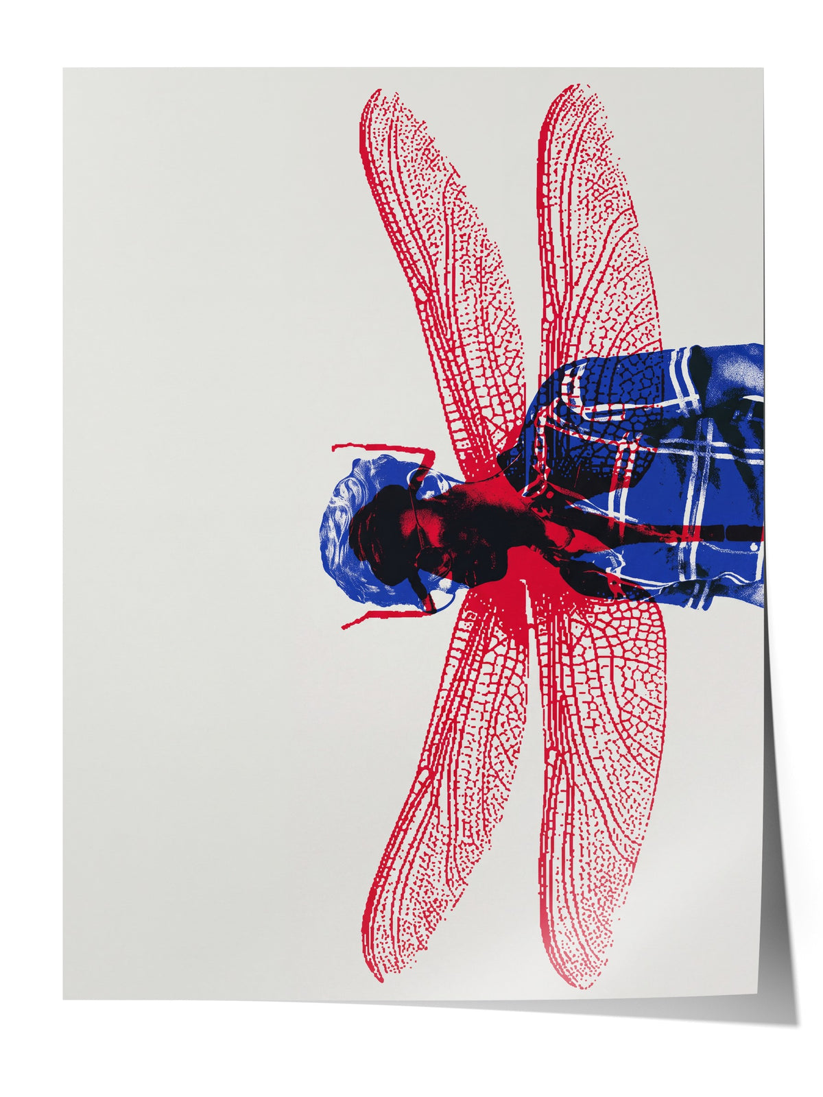 Kırmızı Kanatlı Yusufçuk Kolajı Çerçevesiz Poster
