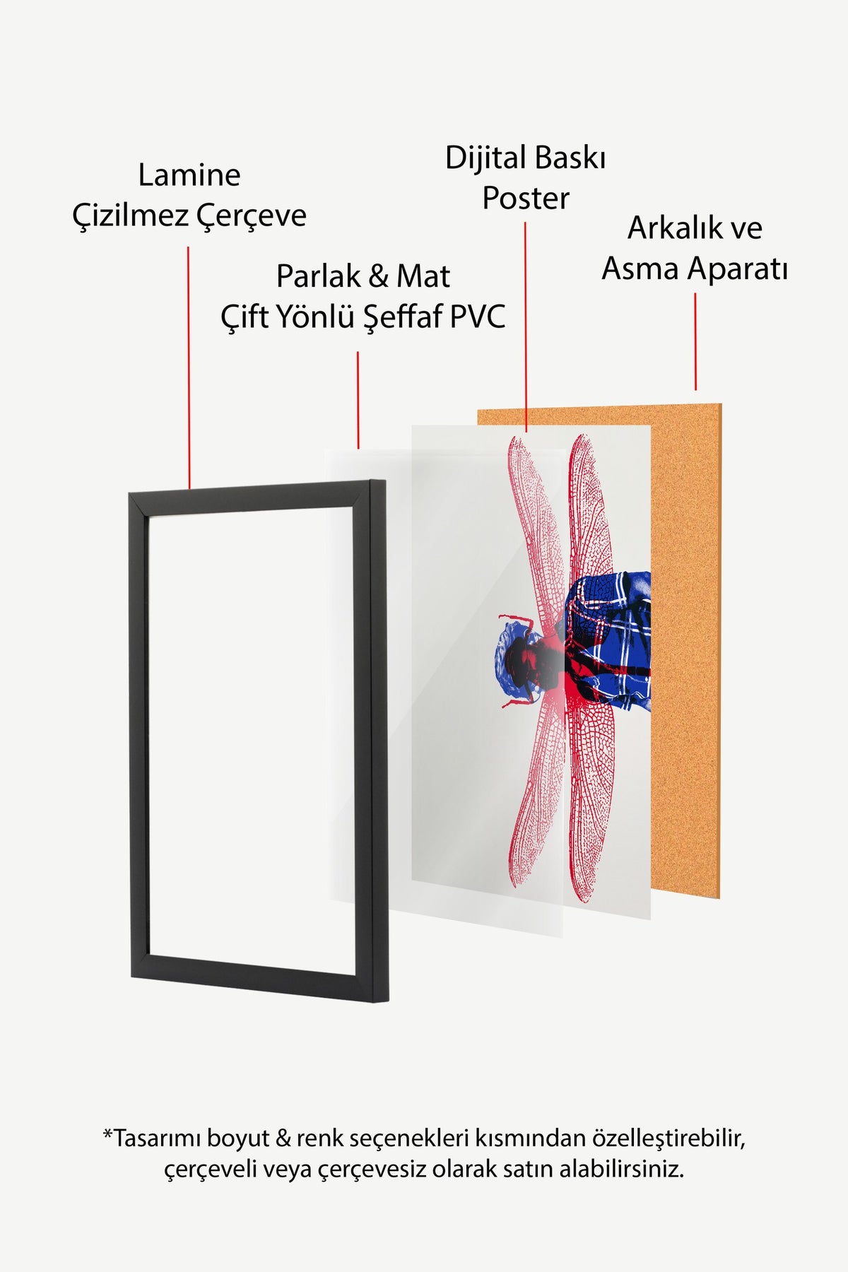 Kırmızı Kanatlı Yusufçuk Kolajı Poster – Siyah Çerçeveli Tablo