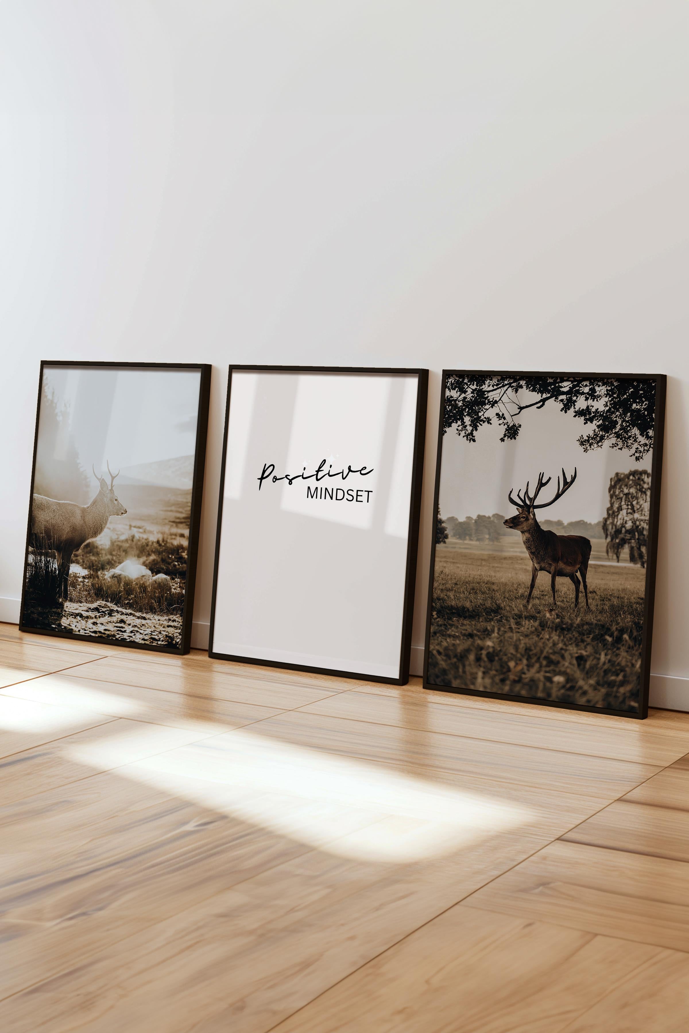 Rustic Vintage Tablo Seti, 3 Adet Siyah Çerçeve ve Poster - Salon, Mutfak, Yatak Odası Duvar Dekor