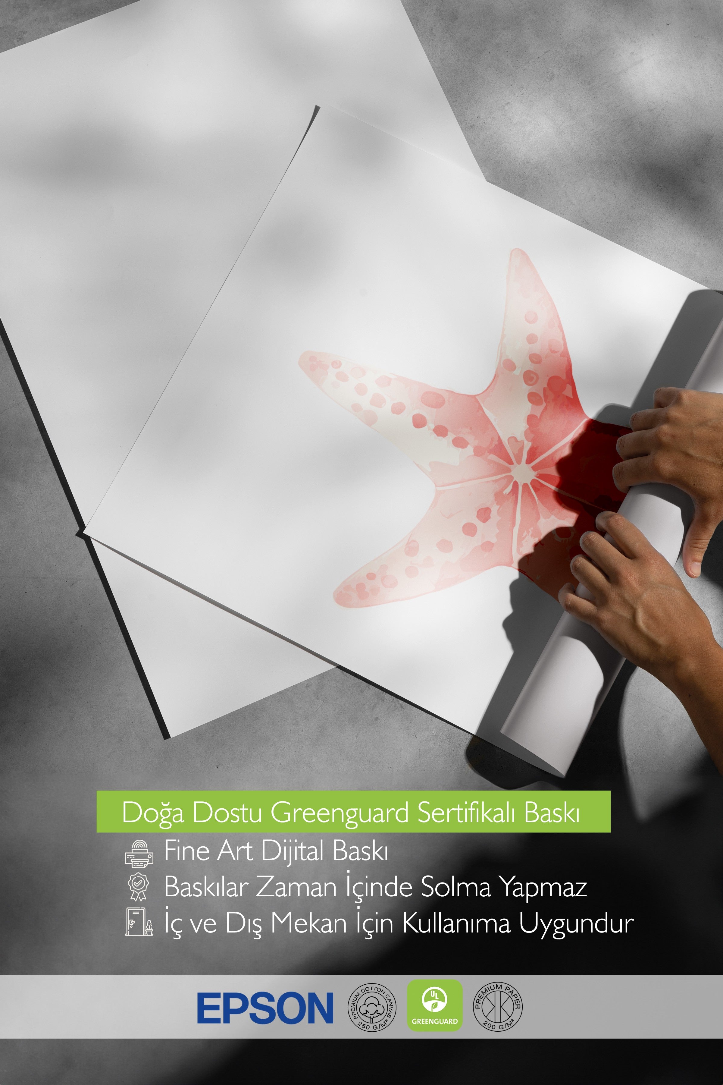 Ahşap Çerçeveli Tablo, Deniz yıldızı, sulu boya, Pastel Tonlar Renk Poster, 2025 Yaz Seçkisi, NO:109872
