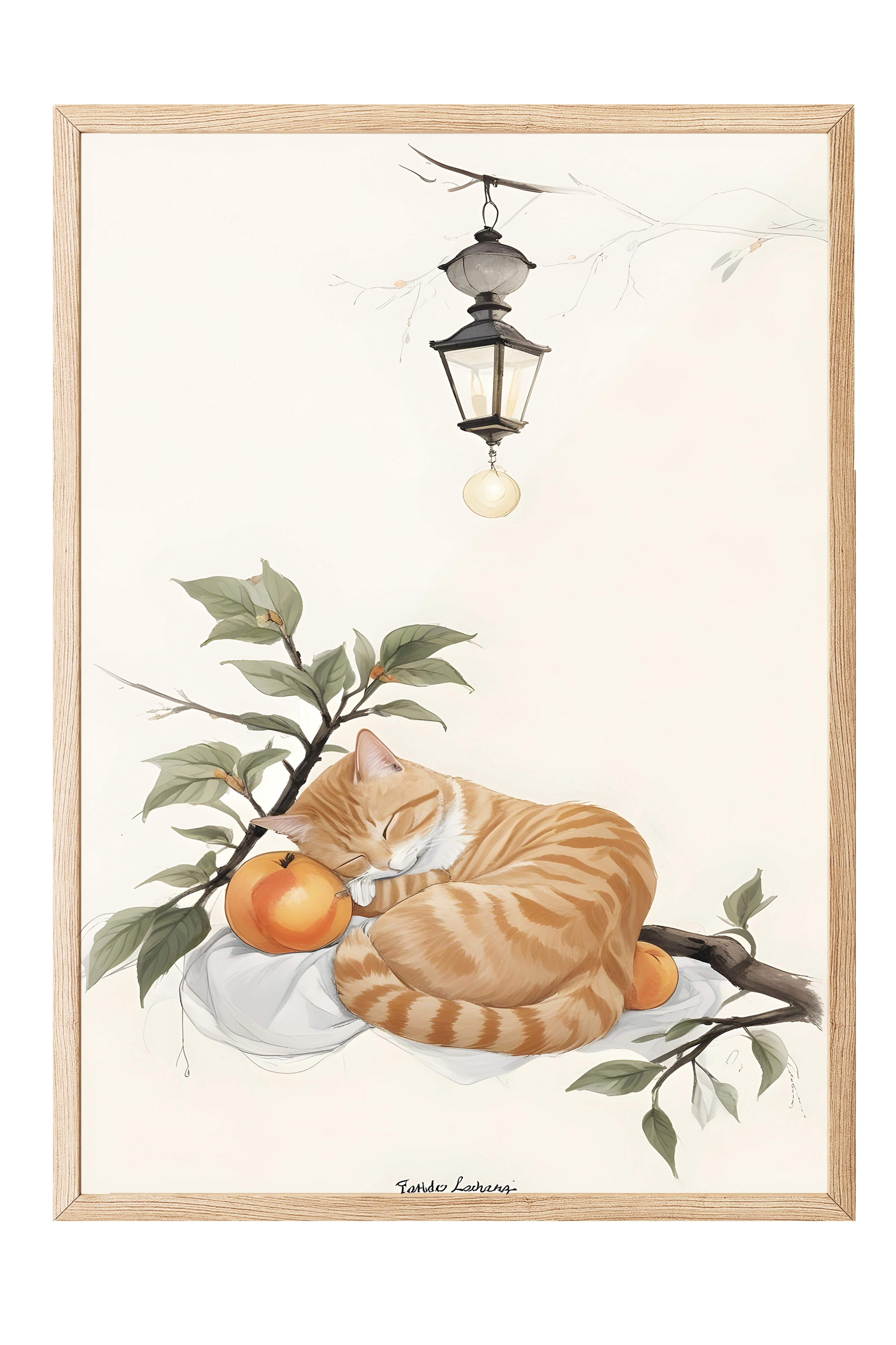 Ahşap Çerçeveli Tablo, Orange cat Sleeping With Orange, Comfort Serisi Mutfak Ahşap Tablo, NO:109166