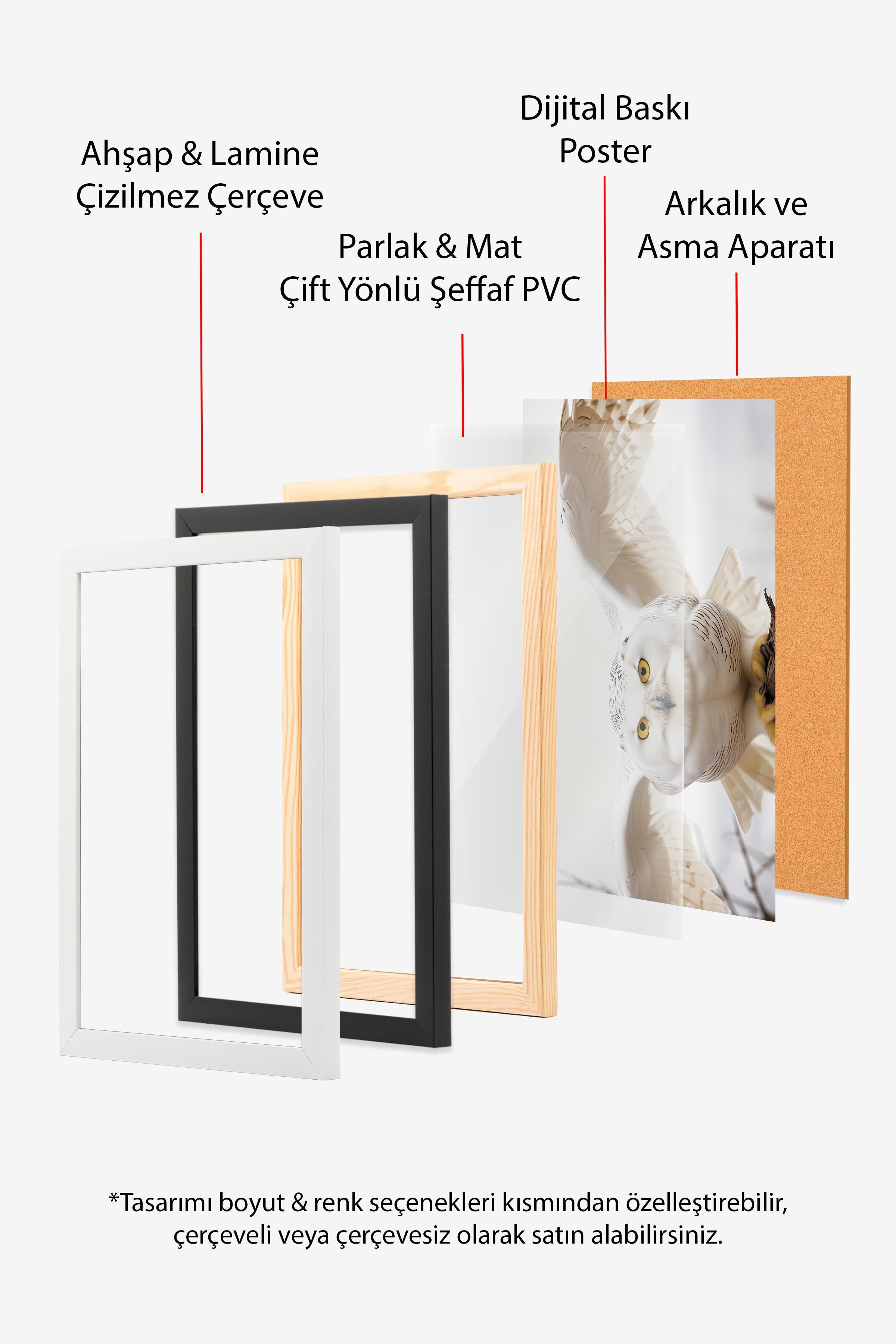 Ahşap Çerçeveli Tablo Seti, Büyücü Okulu III Duvar Tablosu, 3 Adet Poster Seti, No:300687