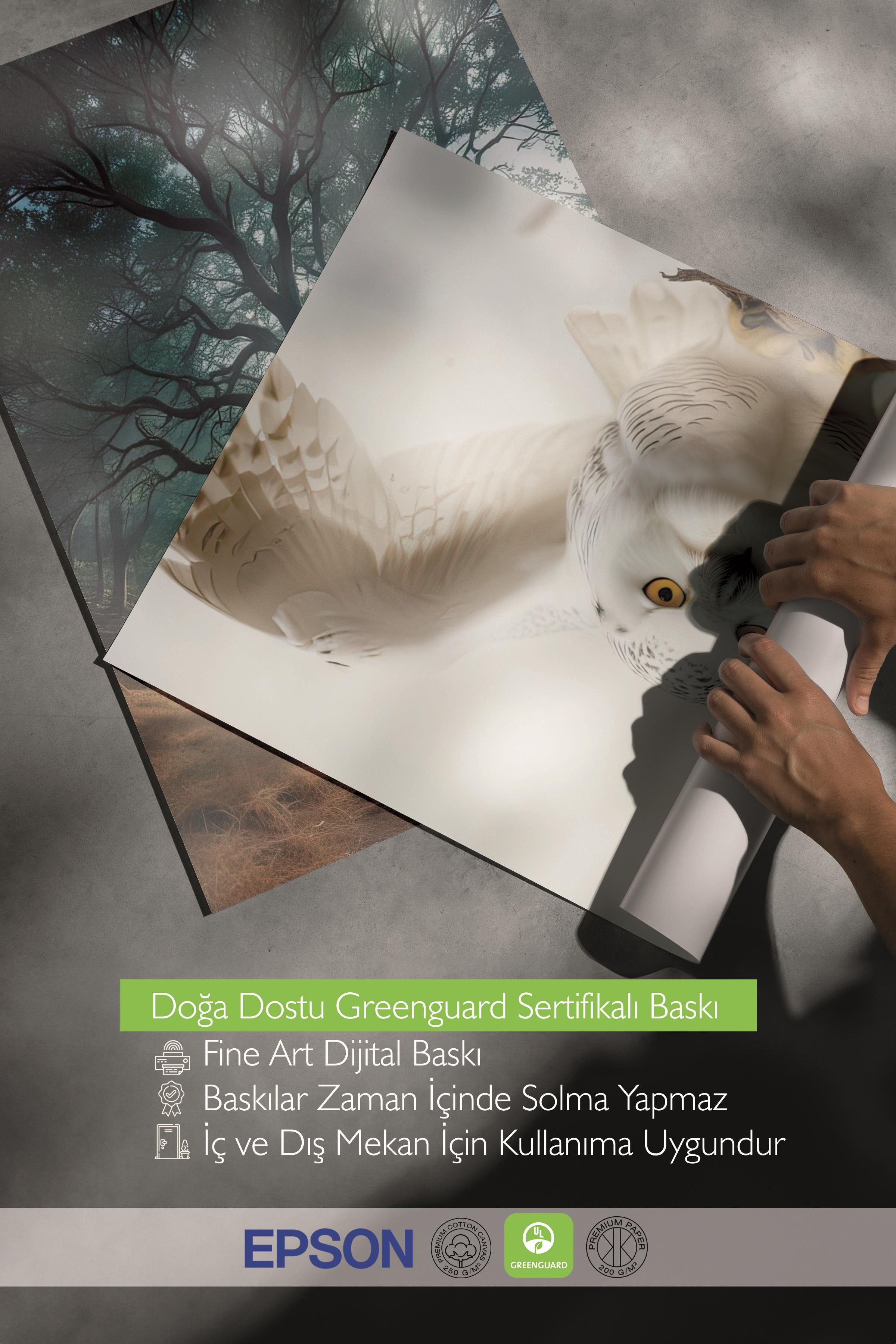 Ahşap Çerçeveli Tablo Seti, Büyücü Okulu III Duvar Tablosu, 3 Adet Poster Seti, No:300687