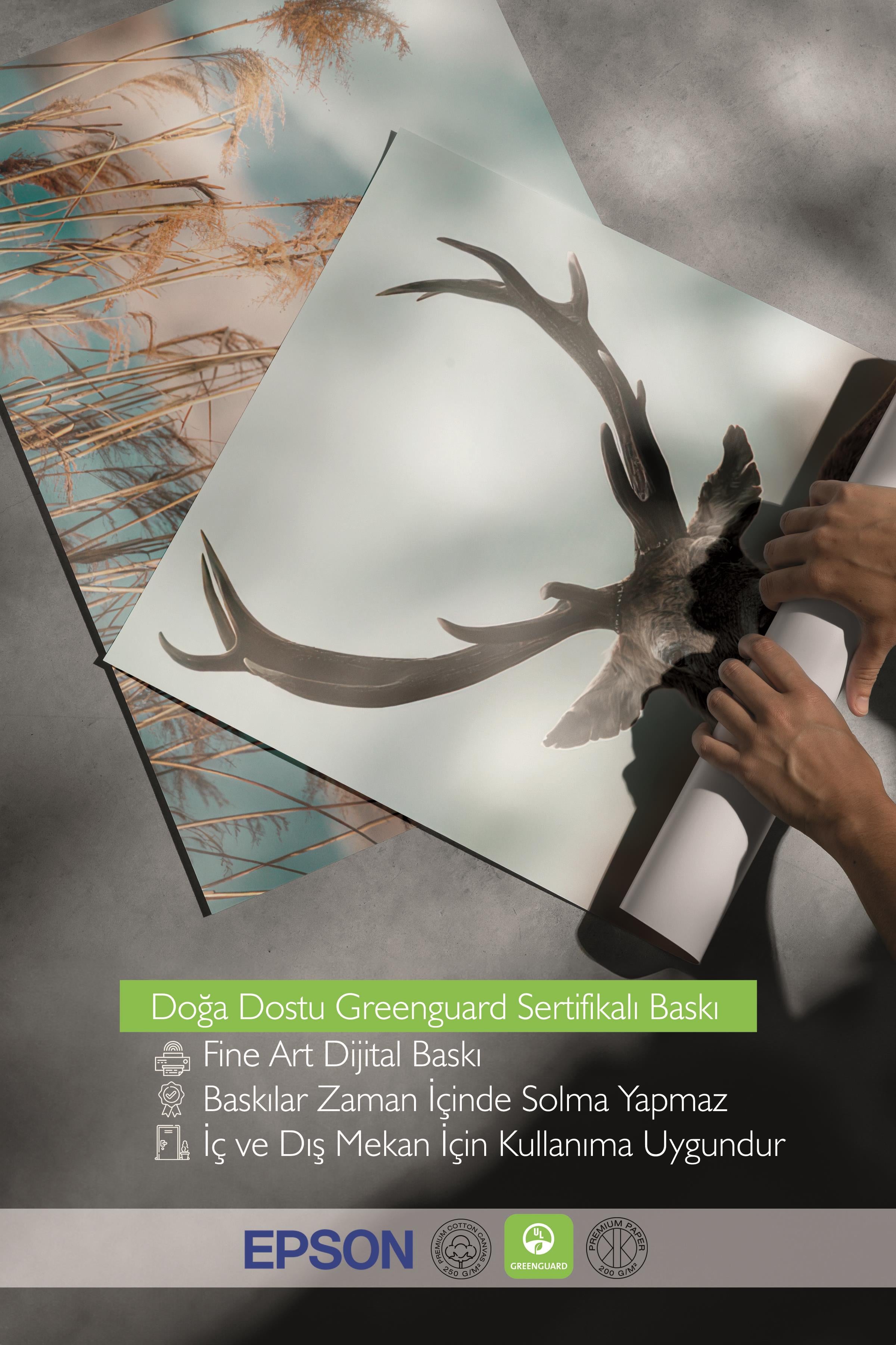 Ahşap Çerçeveli Tablo Seti, Vahşi Doğa Duvar Tablosu, 3 Adet Poster Seti, No:300735