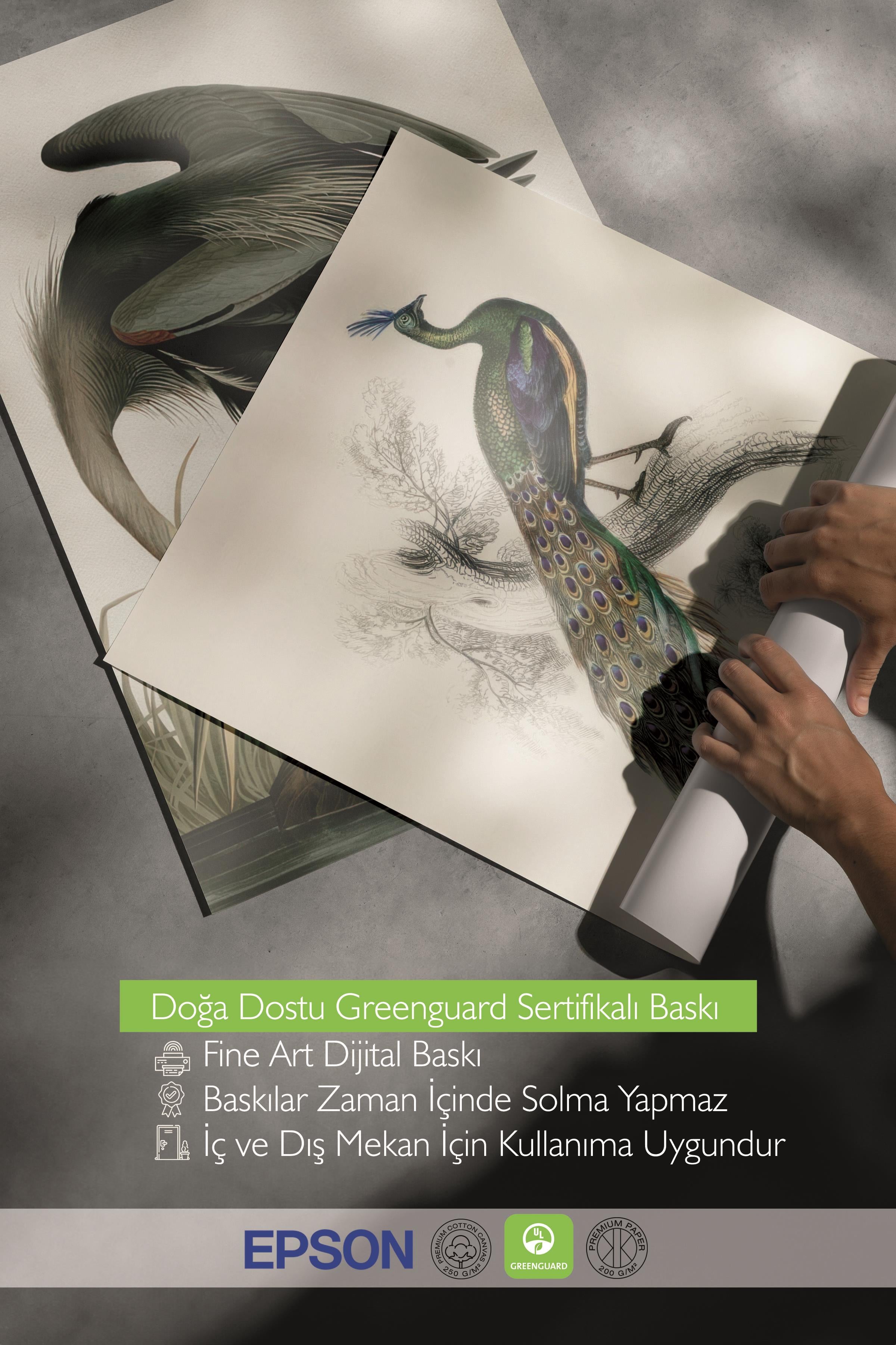 Ahşap Çerçeveli Tablo Seti, Yeşil Duvar Tablosu, 3 Adet Poster Seti, No:300757