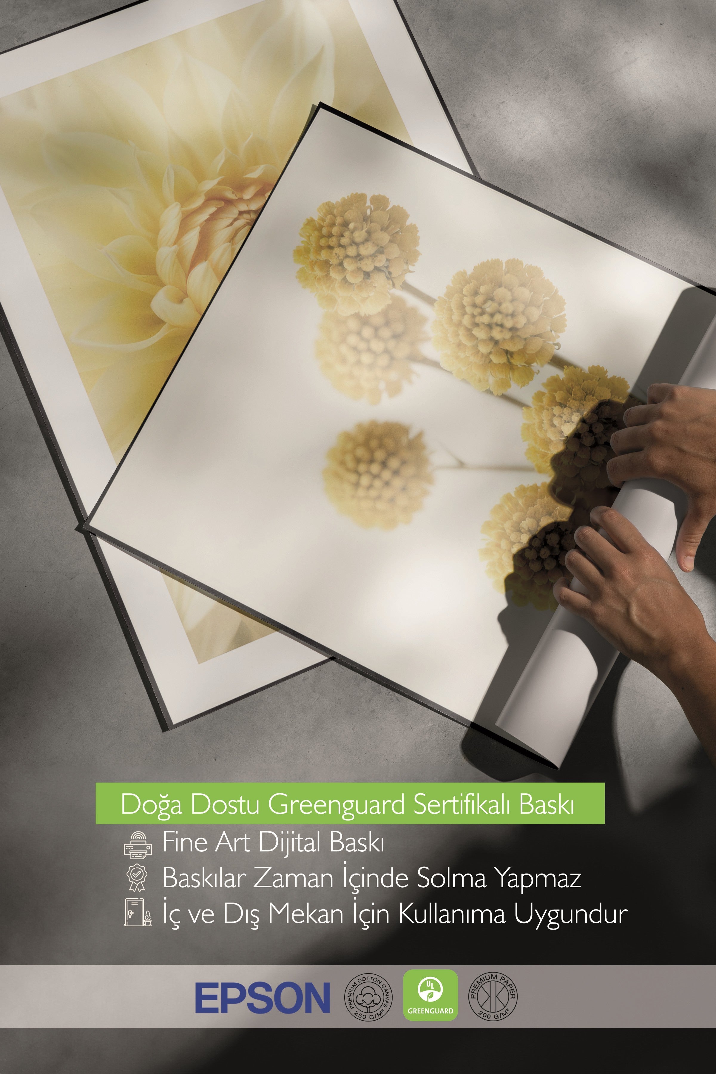 Ahşap Tablo Seti, 3 Adet Ahşap Çerçeveli Poster Bees & Flowers Model No:300805, Sarı Duvar Dekoru