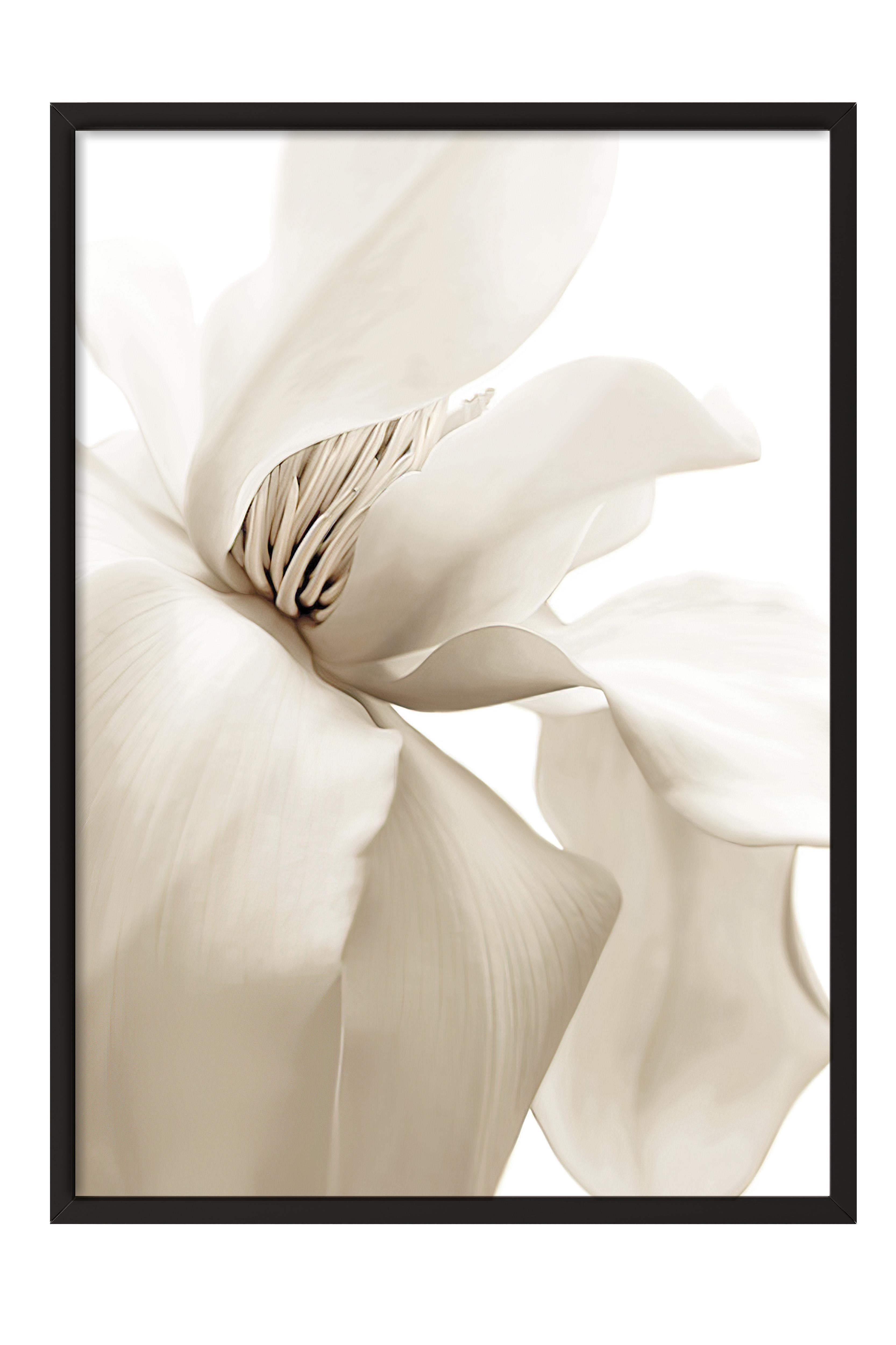 Beige Magnolia Yılbaşı Tablo, Siyah Çerçeve ve Poster, Duvar Tablosu Comfort Serisi NO:108414