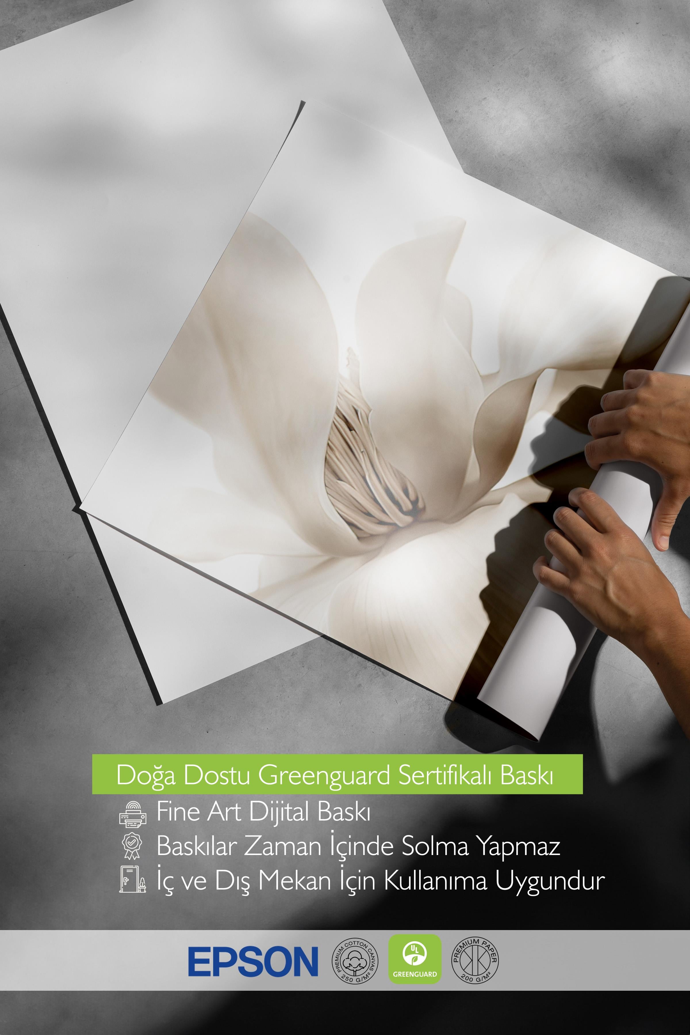 Beige Magnolia Poster, Yılbaşı Duvar Posteri, Dikey Duvar Tablosu Comfort Serisi NO:108414
