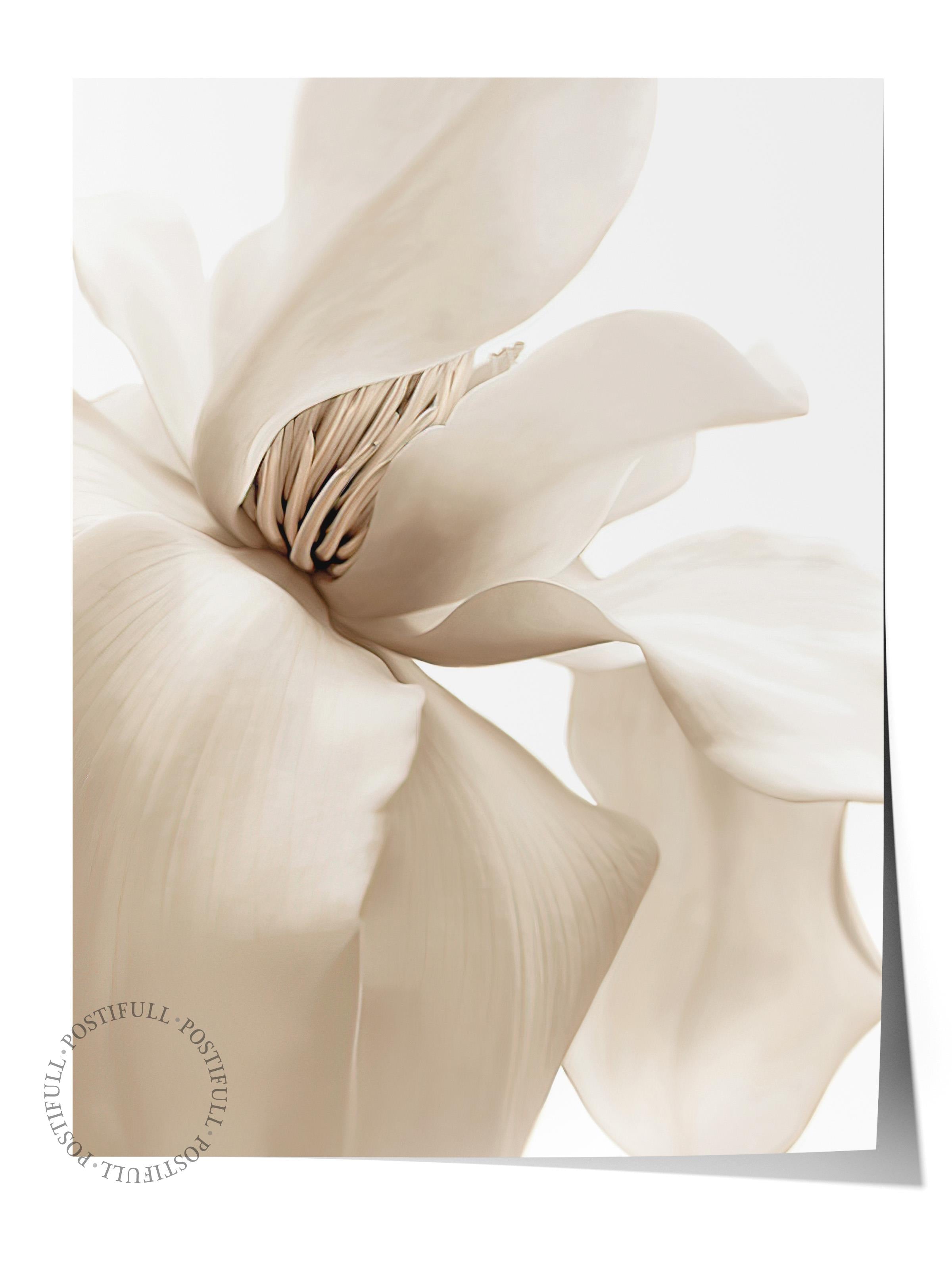 Beige Magnolia Poster, Yılbaşı Duvar Posteri, Dikey Duvar Tablosu Comfort Serisi NO:108414