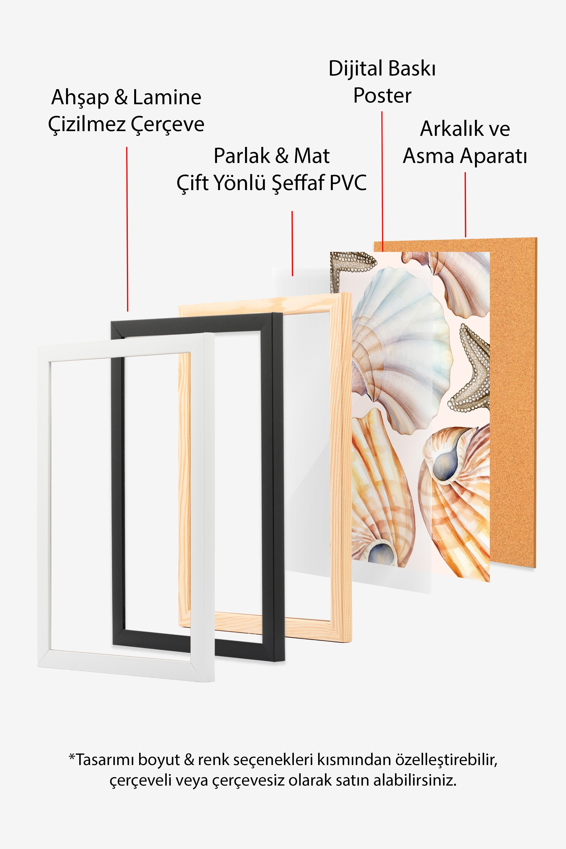 Beyaz Çerçeveli Tablo, Deniz kabukları, Deniz yıldızı, sulu boya, Bej, Pastel Tonlar Renk Poster, 2025 Yaz Seçkisi, NO:109858