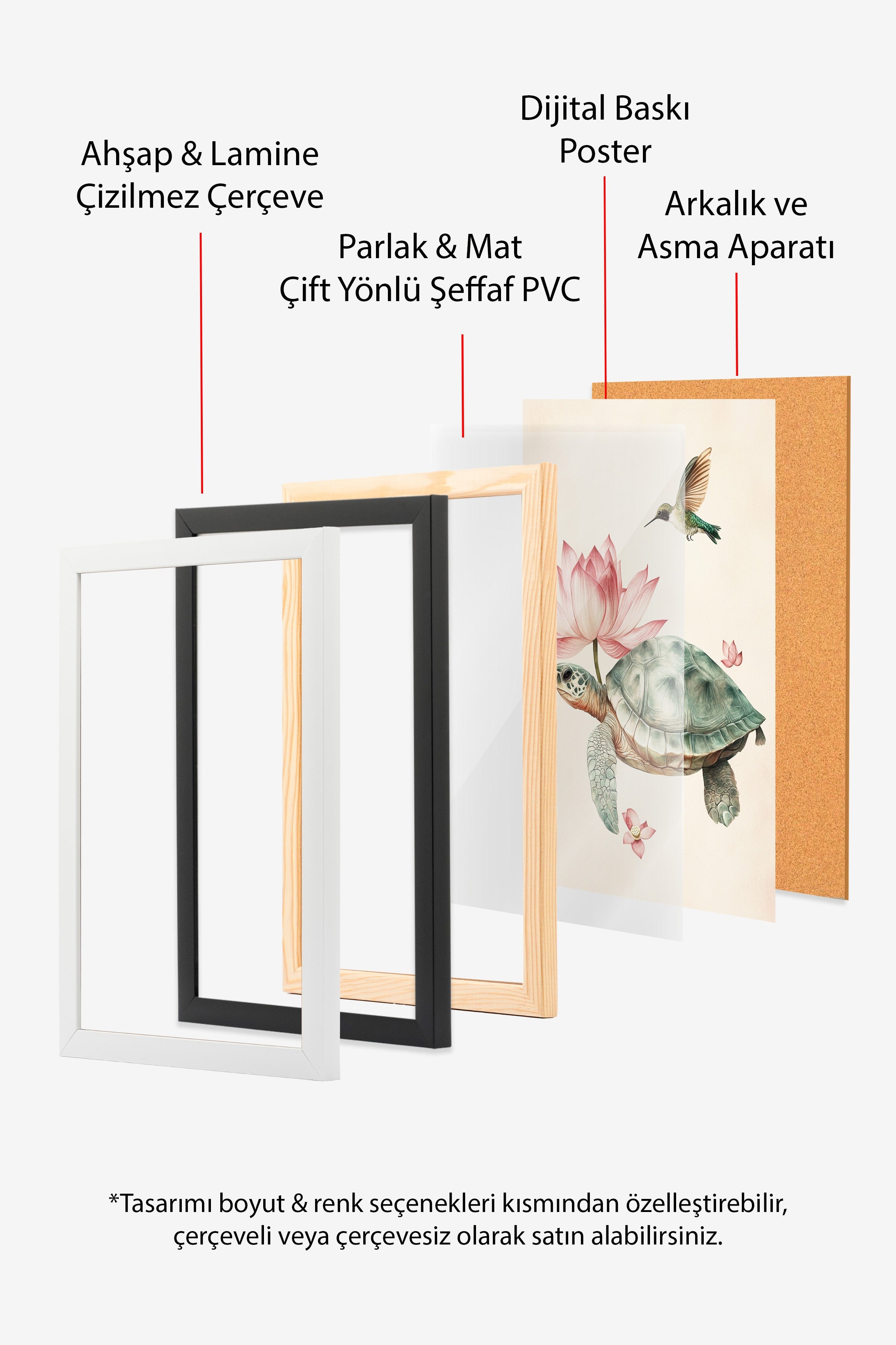 Beyaz Çerçeveli Tablo, Kaplumbağa, Sinek Kuşu, Lotus, İllüstrasyon, Pastel Tonlar Renk Poster, 2025 Yaz Seçkisi, NO:109795