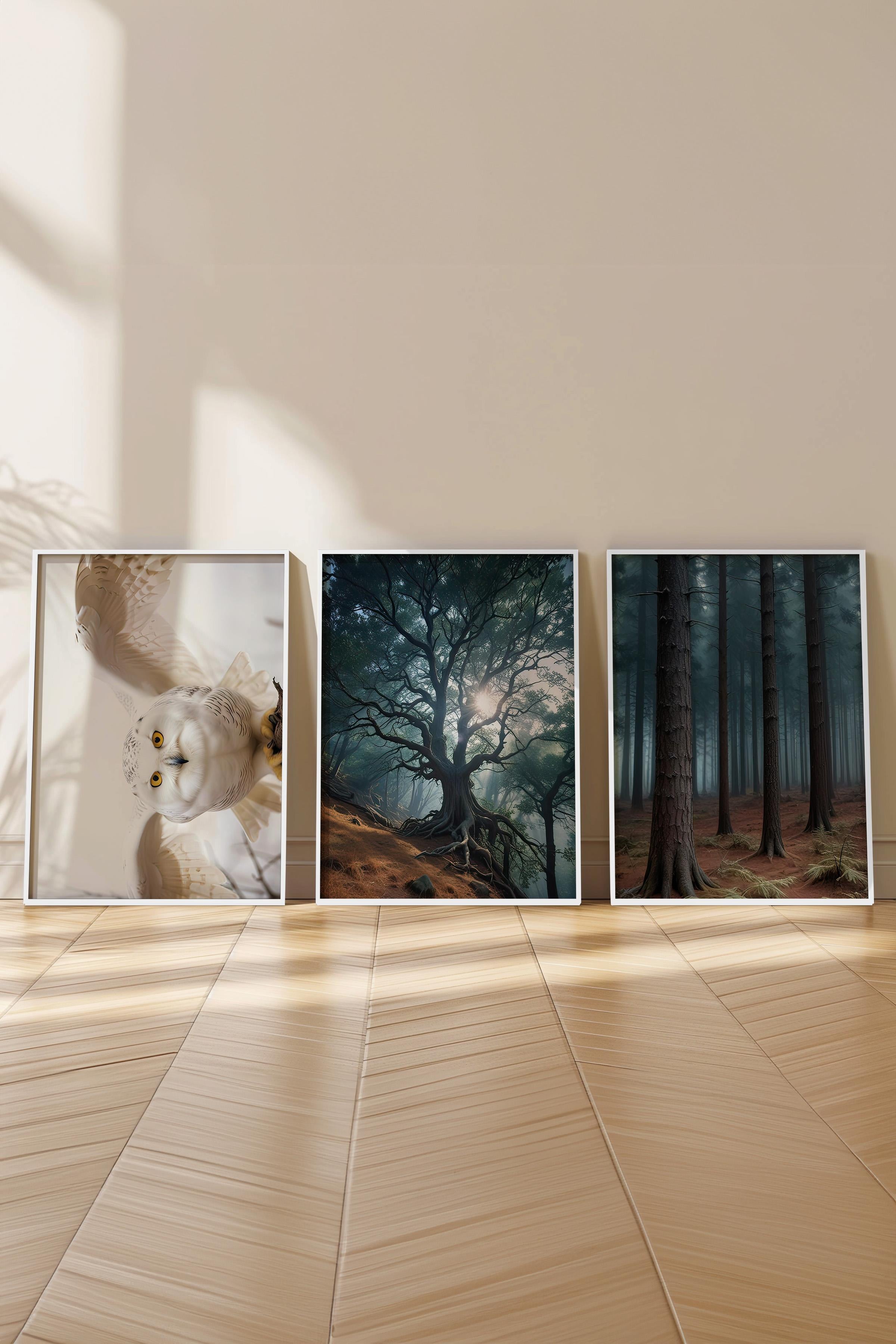 Beyaz Çerçeveli Tablo Seti, Büyücü Okulu III Duvar Tablosu, 3 Adet Poster Seti, No:300687