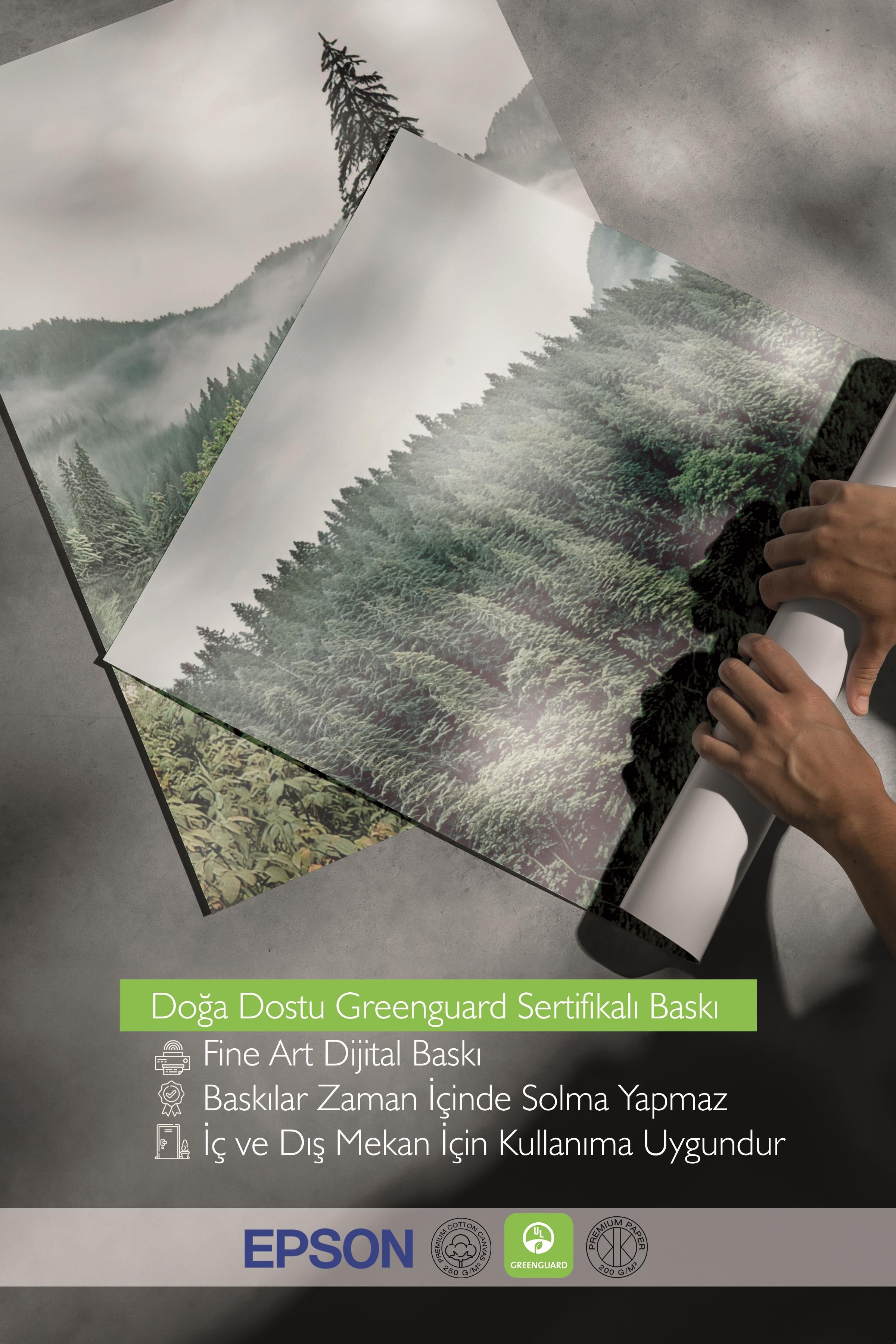 Beyaz Çerçeveli Tablo Seti, Orman Fotoğrafları Duvar Tablosu, 3 Adet Poster Seti, No:300721