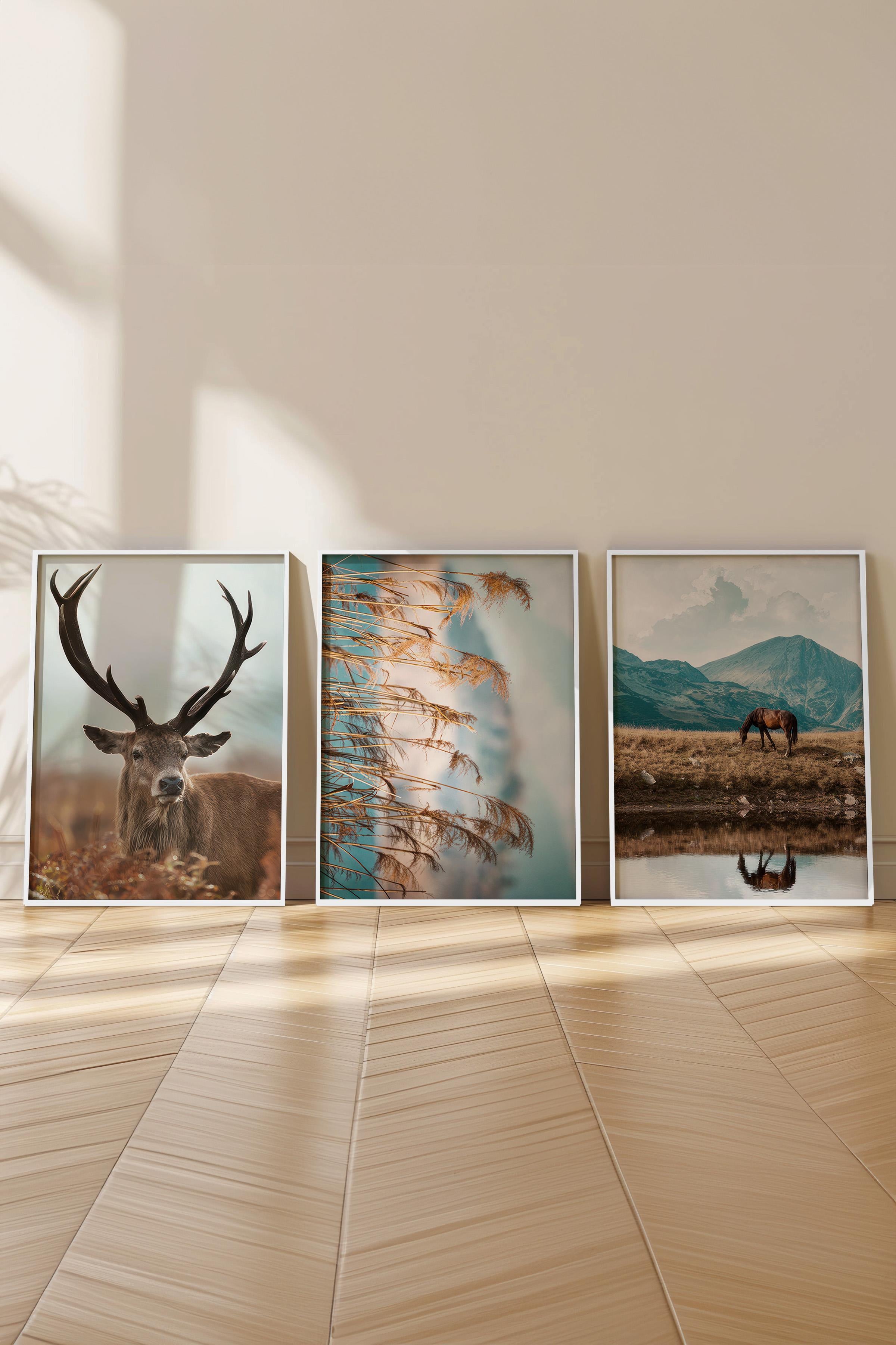 Beyaz Çerçeveli Tablo Seti, Vahşi Doğa Duvar Tablosu, 3 Adet Poster Seti, No:300735