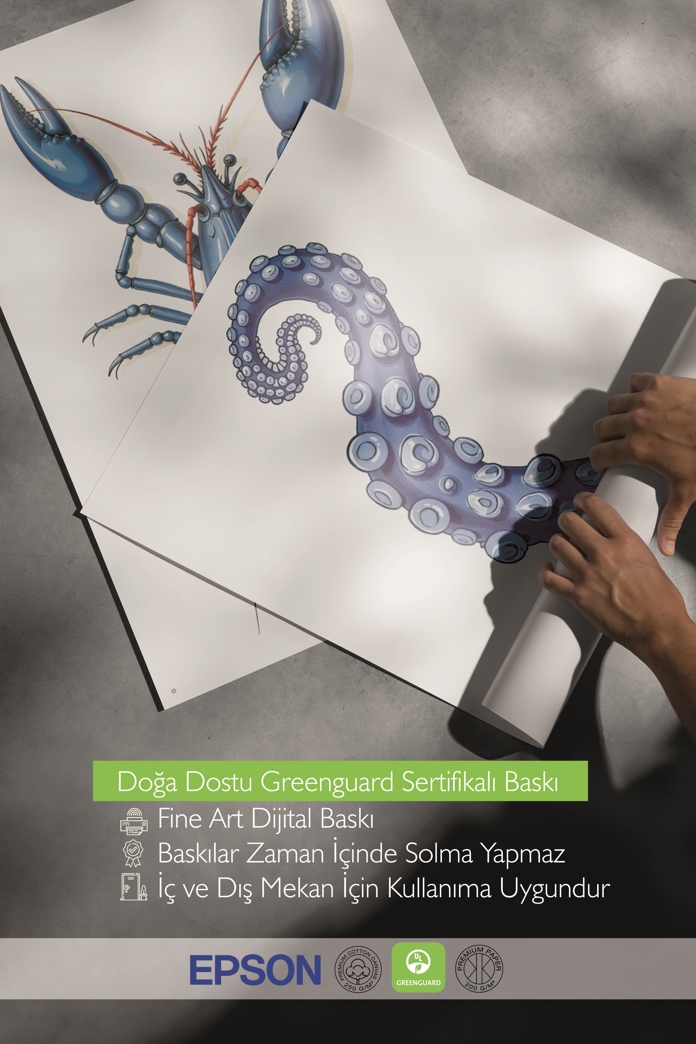 Beyaz Tablo Seti, 3 Adet Beyaz Çerçeveli Poster Sea Shells Model No:300856, Lacivert Duvar Dekoru