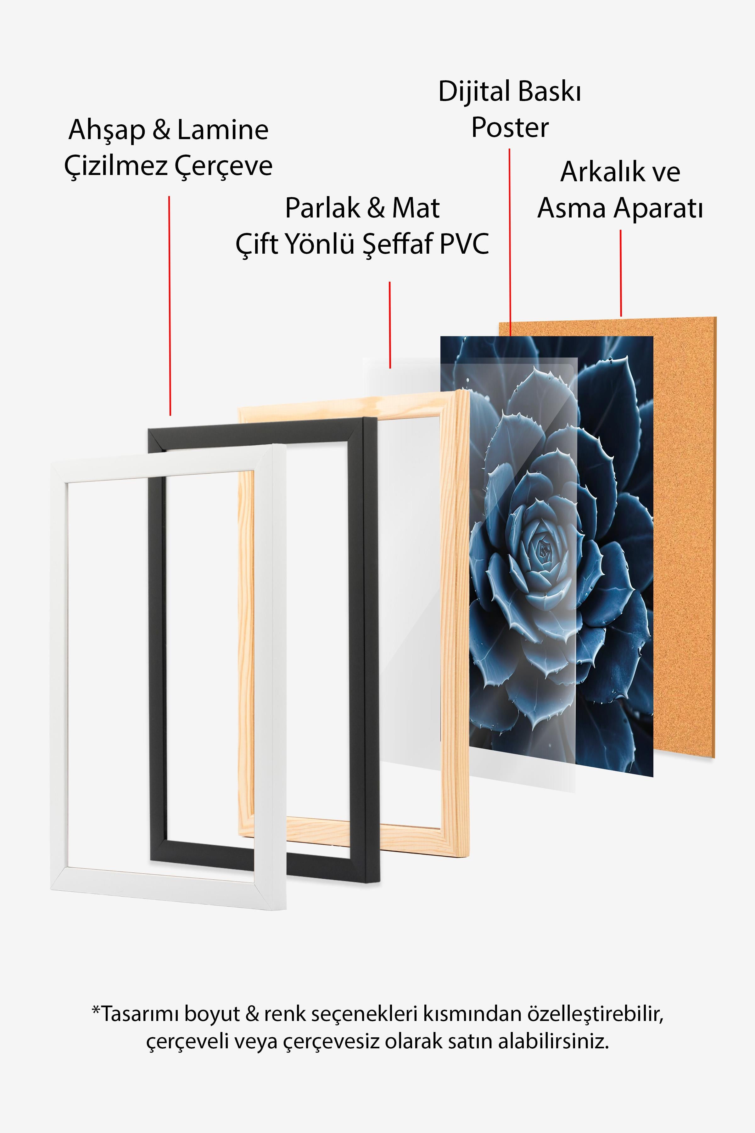 Blue flower cactus Çerçeveli Tablo, Beyaz Çerçeve ve Poster, Duvar Tablosu Comfort Serisi NO:108372