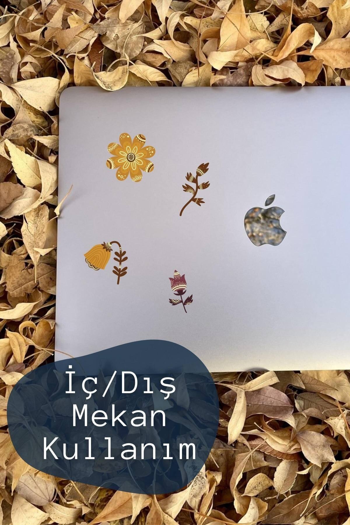 Botanik Çizim Temalı Sticker Seti - 13 Adet Etiket Seti- Telefon, Tablet, Defter Laptop Uyumlu