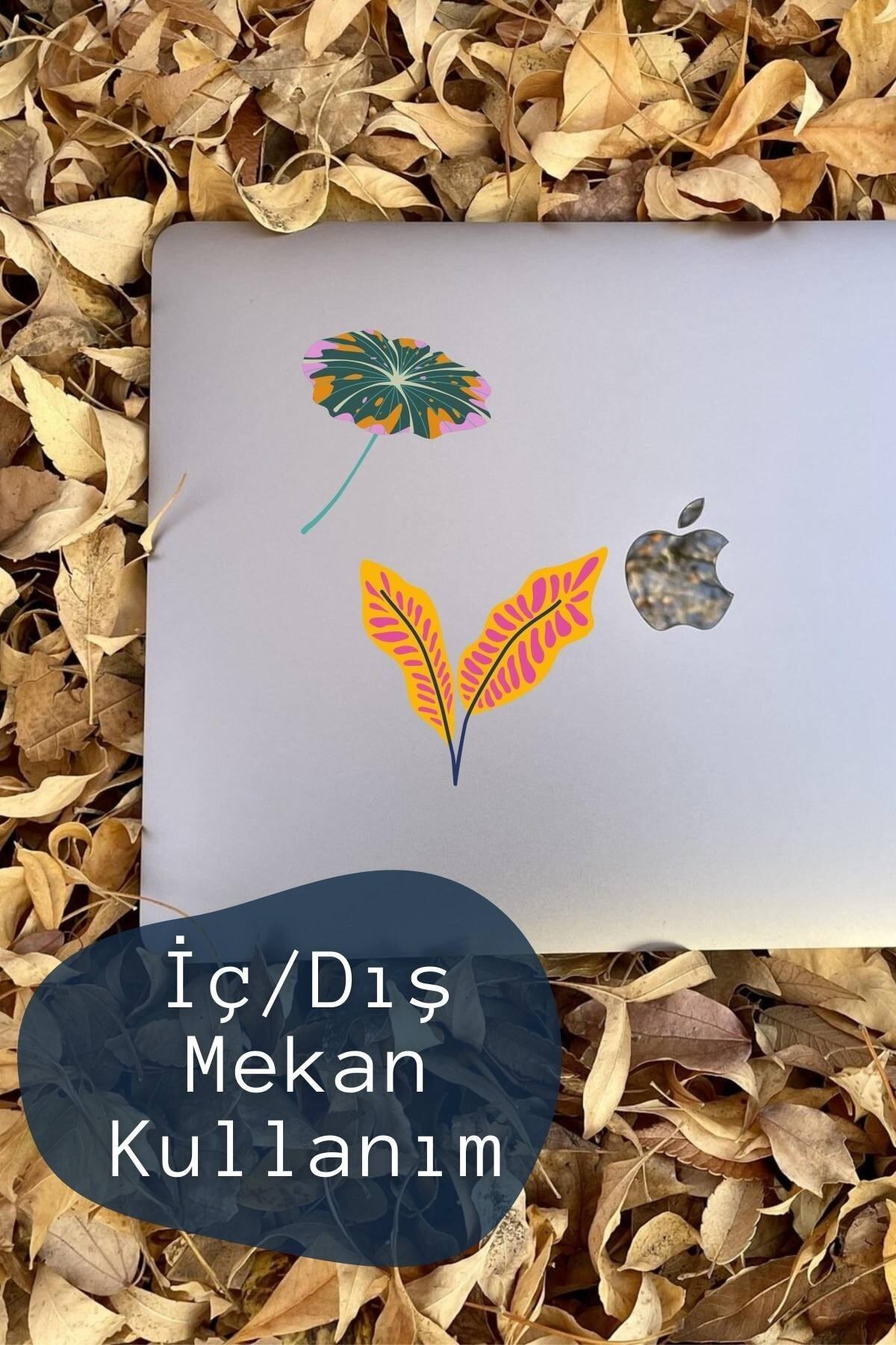 Botanik Temalı Sticker Seti - 15 Adet Etiket Seti- Telefon, Tablet, Defter Laptop Uyumlu Etiket