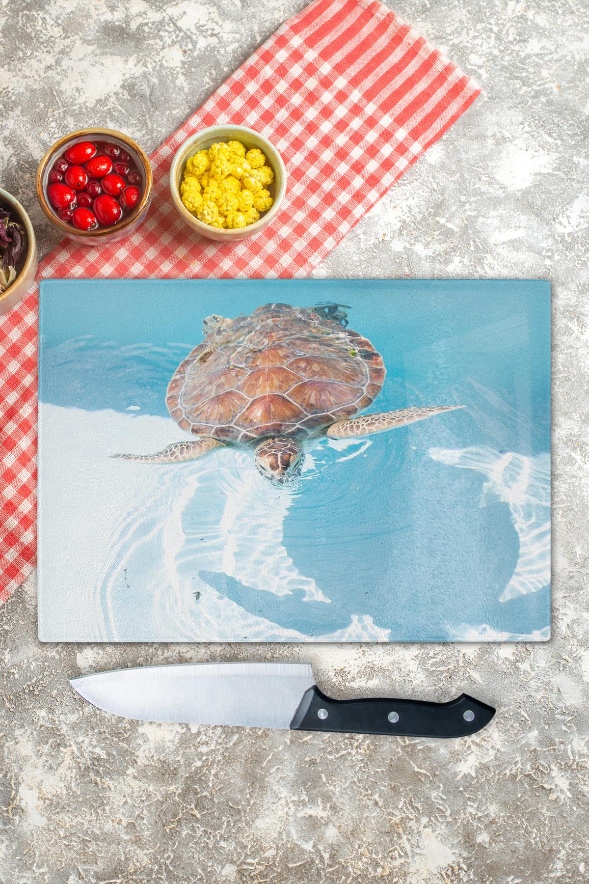 Cam Kesme Tahtası, Kalın Ve Kırılmaz Cam - Kaplumbağa Tema, 21*30cm, Doğrama Tahtası, Mutfak Dekoru