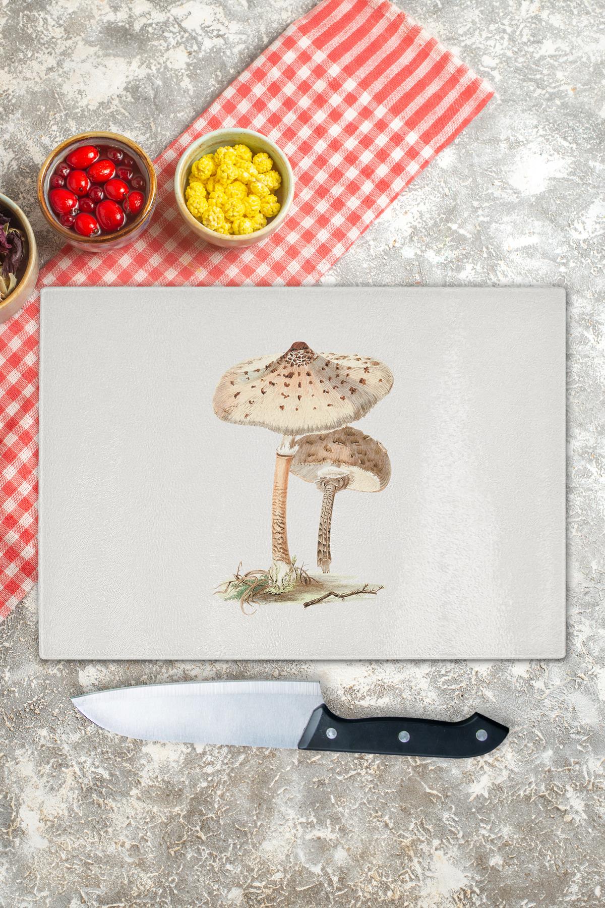 Cam Kesme Tahtası, Kalın Ve Kırılmaz Cam - Vintage Mantar - 21*30cm, Doğrama Tahtası, Mutfak Dekoru