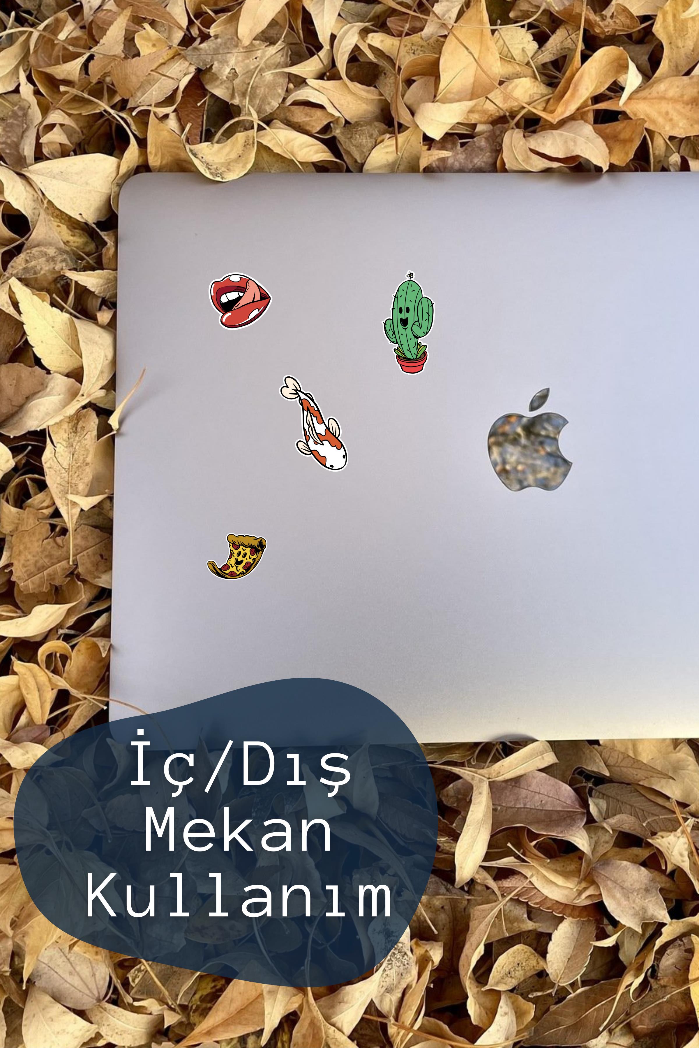 Cartoon Temalı Sticker ve Etiket Seti - Orta Boy - Su Geçirmez, Kalın Yapışkanlı Sticker Seti