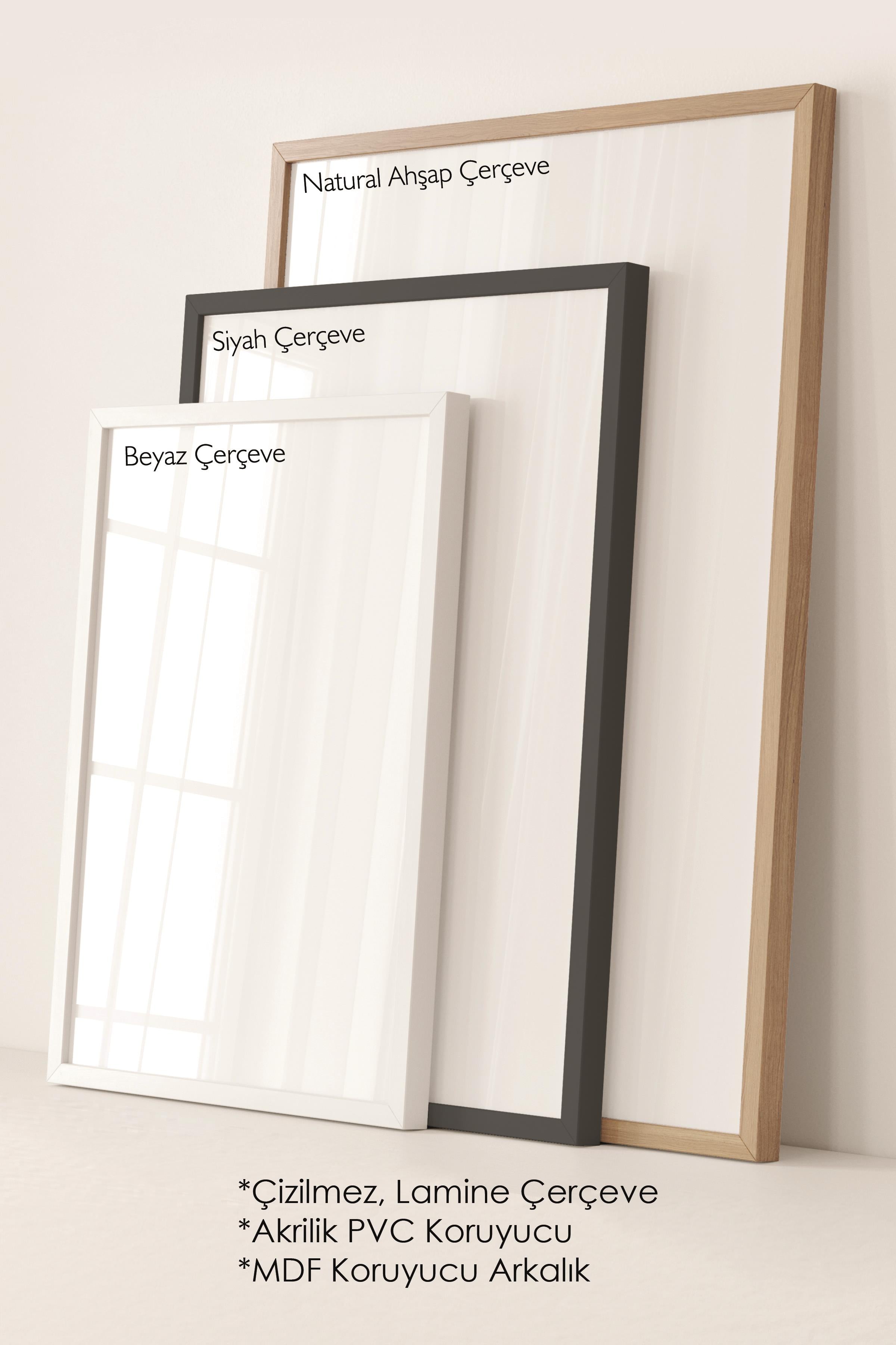 Çerçeveli Tablo Seti, 3 Adet Siyah Çerçeve ve Soyut Botanik Temalı Poster Seti, No:300681