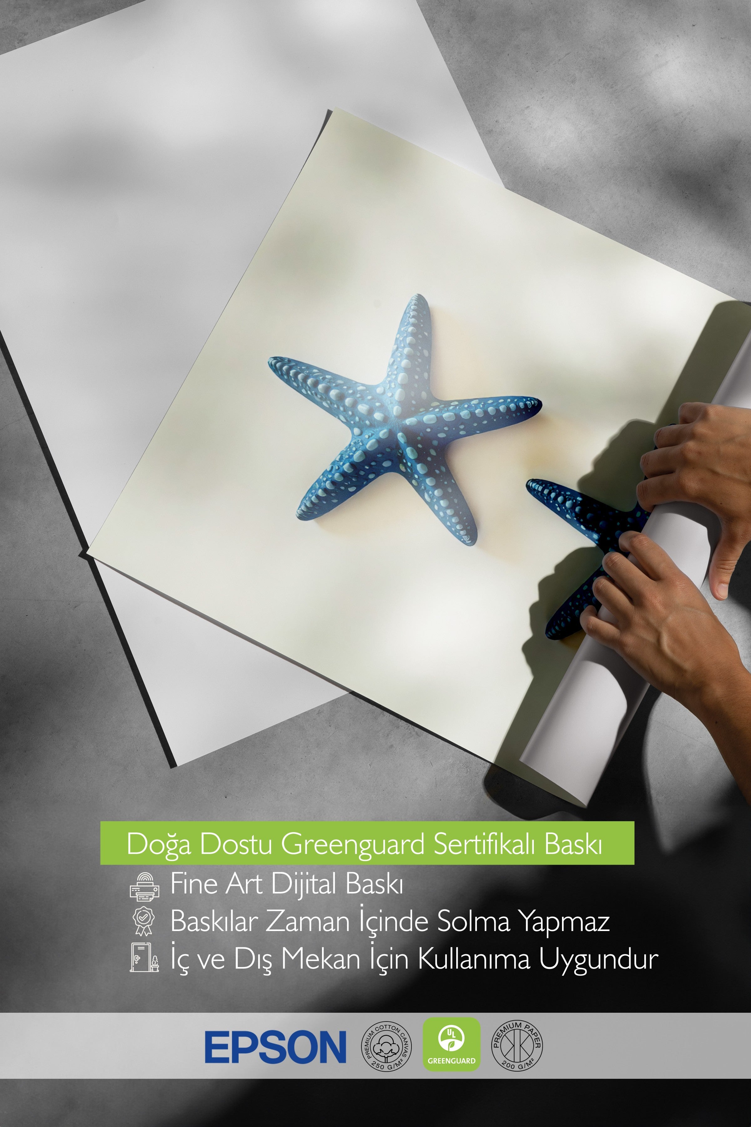 Çerçevesiz Duvar Posteri, Deniz Kabuğu, Fotoğraf, Mavi Renk Poster, 2025 Yaz Seçkisi, NO:109651