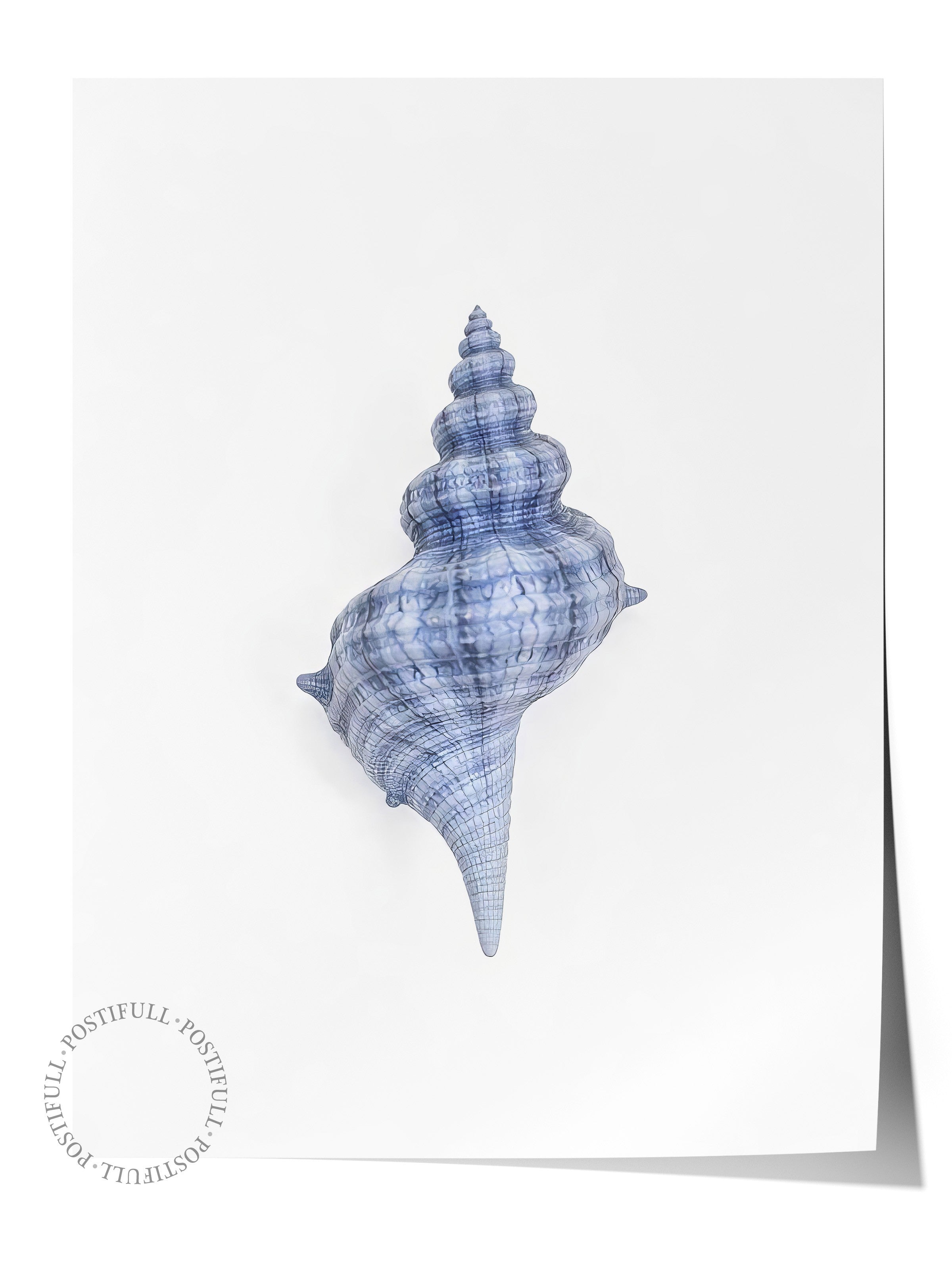 Çerçevesiz Duvar Posteri, Deniz Kabuğu, İllüstrasyon, Mavi Renk Poster, 2025 Yaz Seçkisi, NO:109579