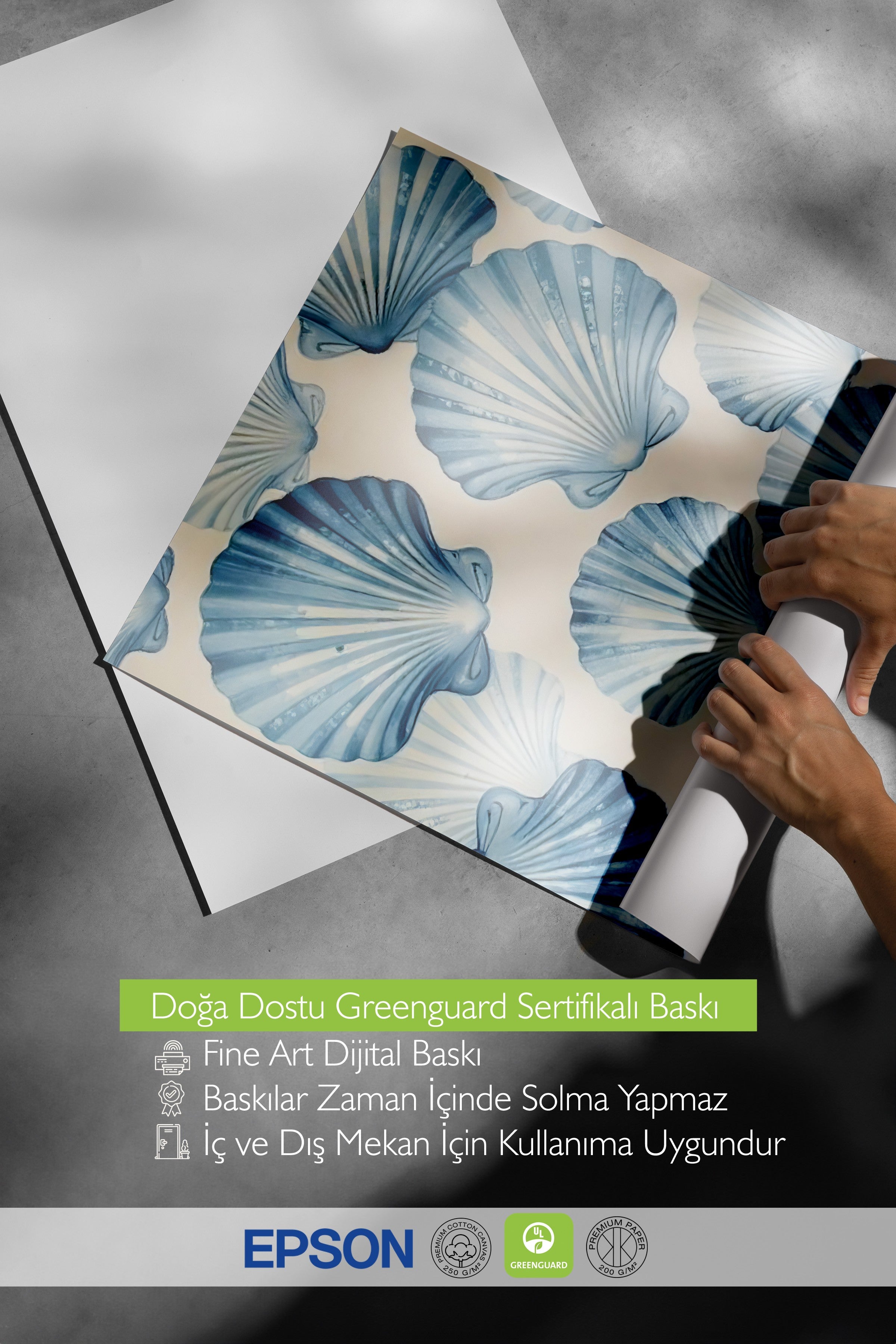 Çerçevesiz Duvar Posteri, Deniz Kabukları, İllüstrasyon, Mavi Renk Poster, 2025 Yaz Seçkisi, NO:109678