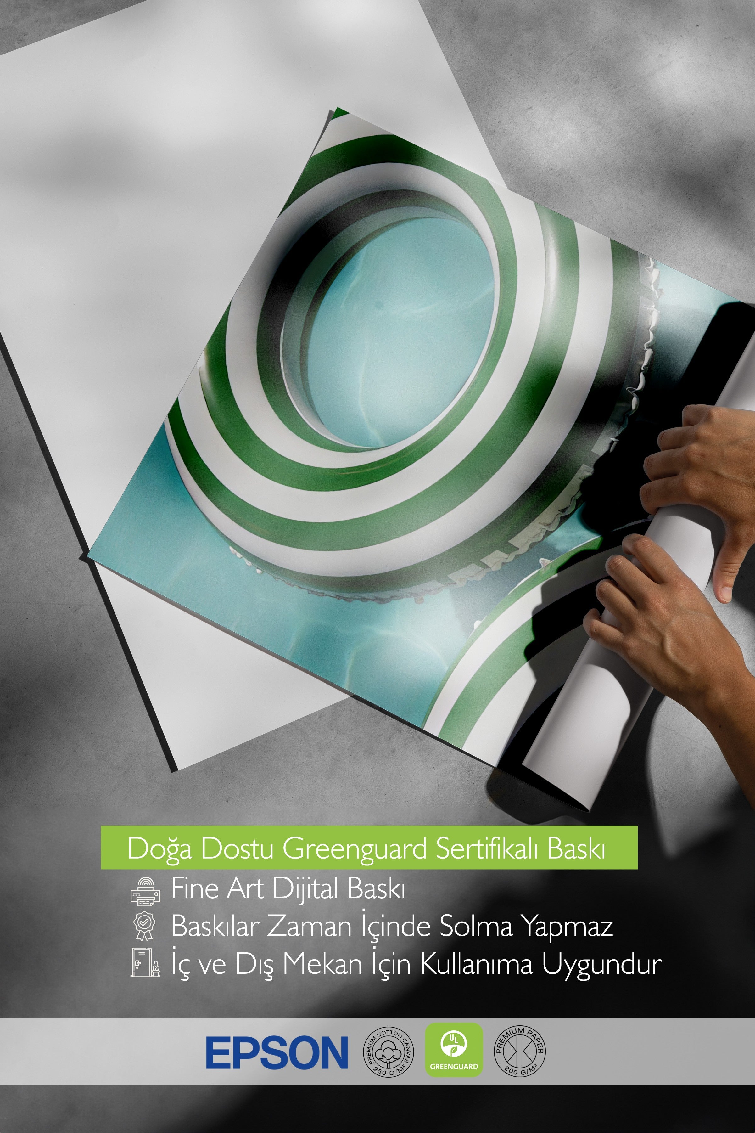 Çerçevesiz Duvar Posteri, Deniz Simidi, Fotoğraf, Yeşil Renk Poster, 2025 Yaz Seçkisi, NO:109652